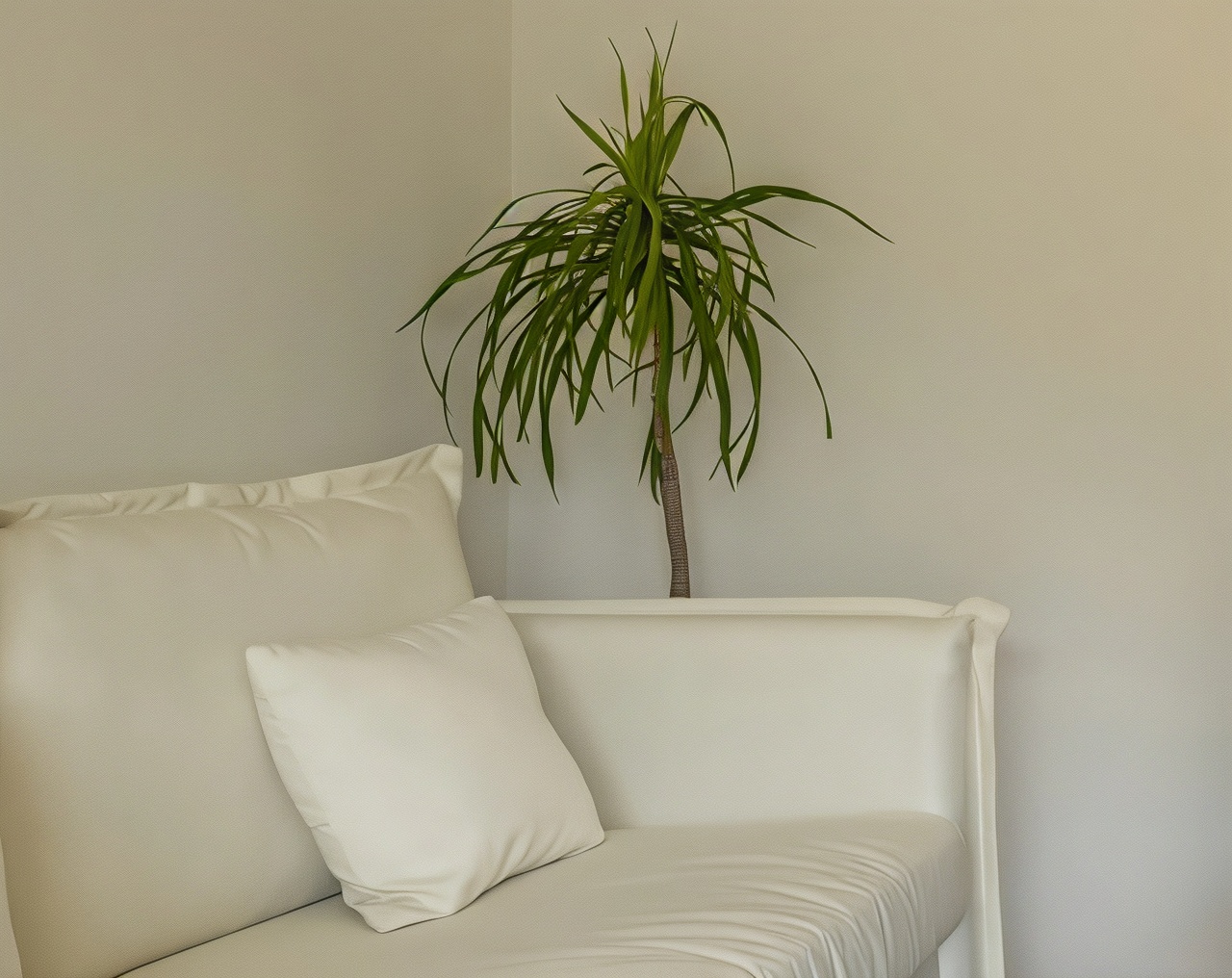 1 Room (King Bed) (Terrace)