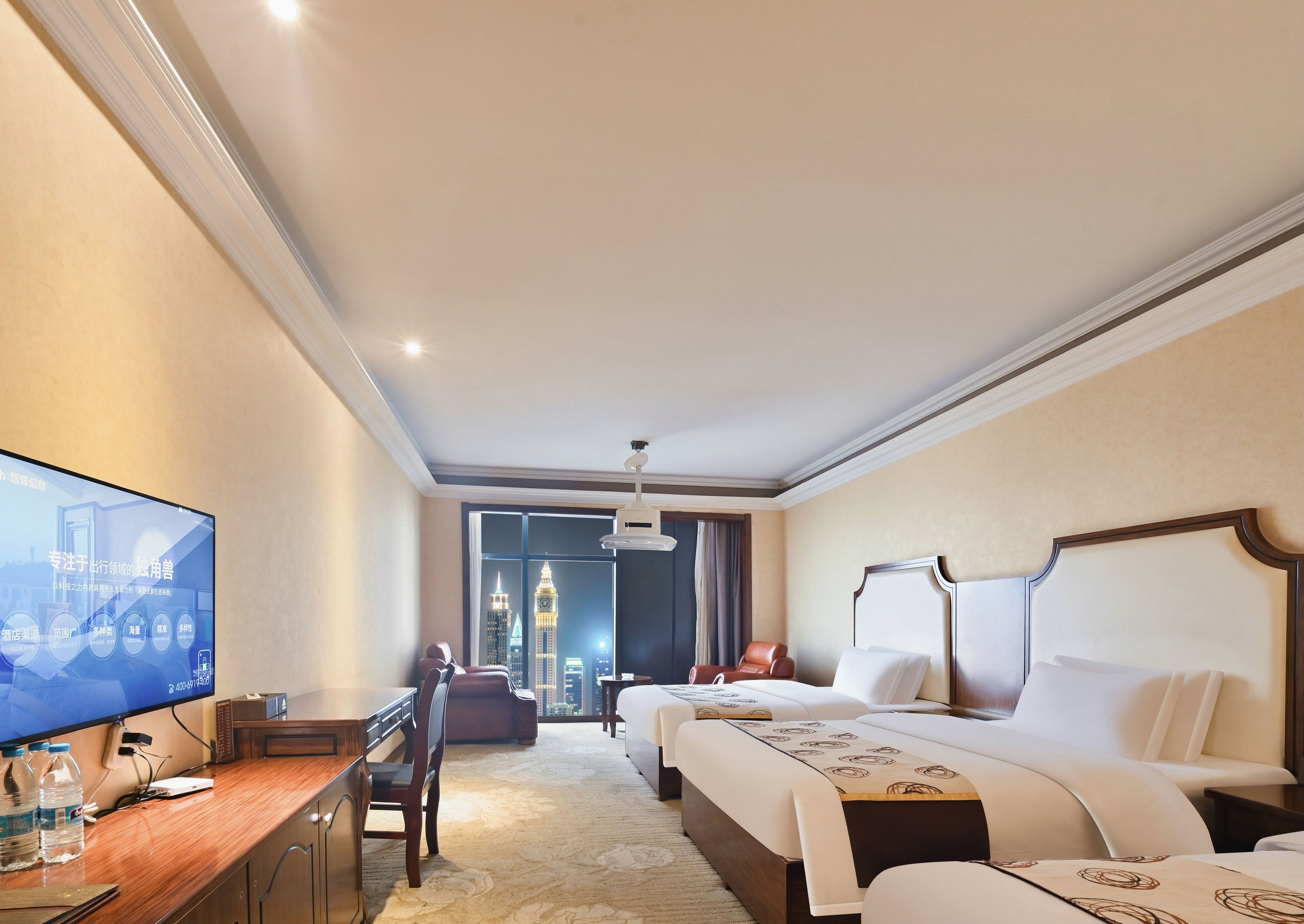 Expansive Business Standard Room