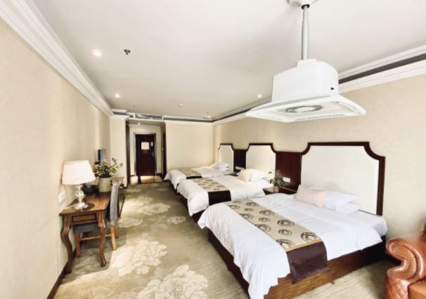 Business Room - Triple Occupancy