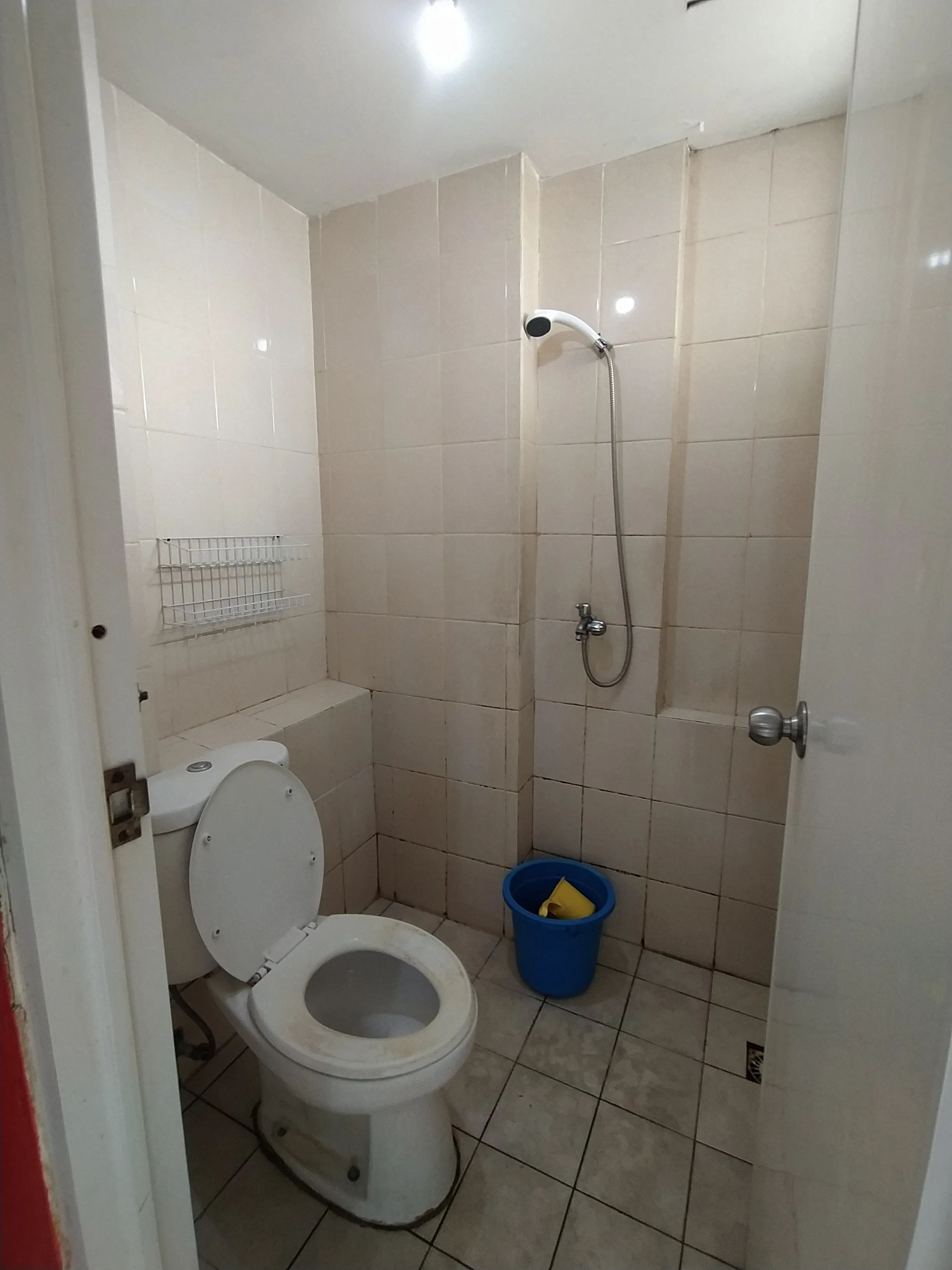 绿色宫殿一室公寓