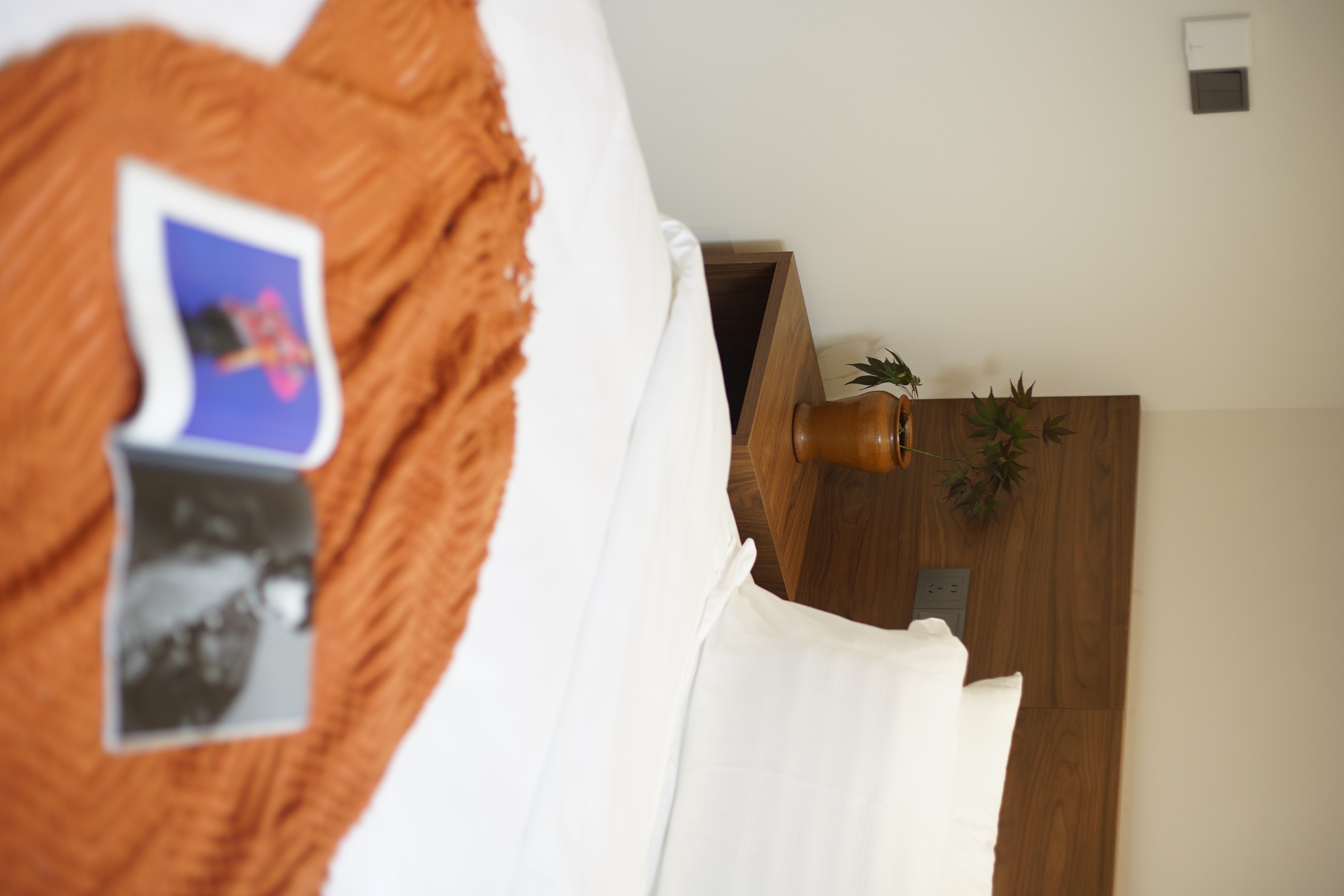 歸去丨隱院私湯大床房（獨享庭院+私湯温泉+高清電視+品牌床墊+全屋地暖）