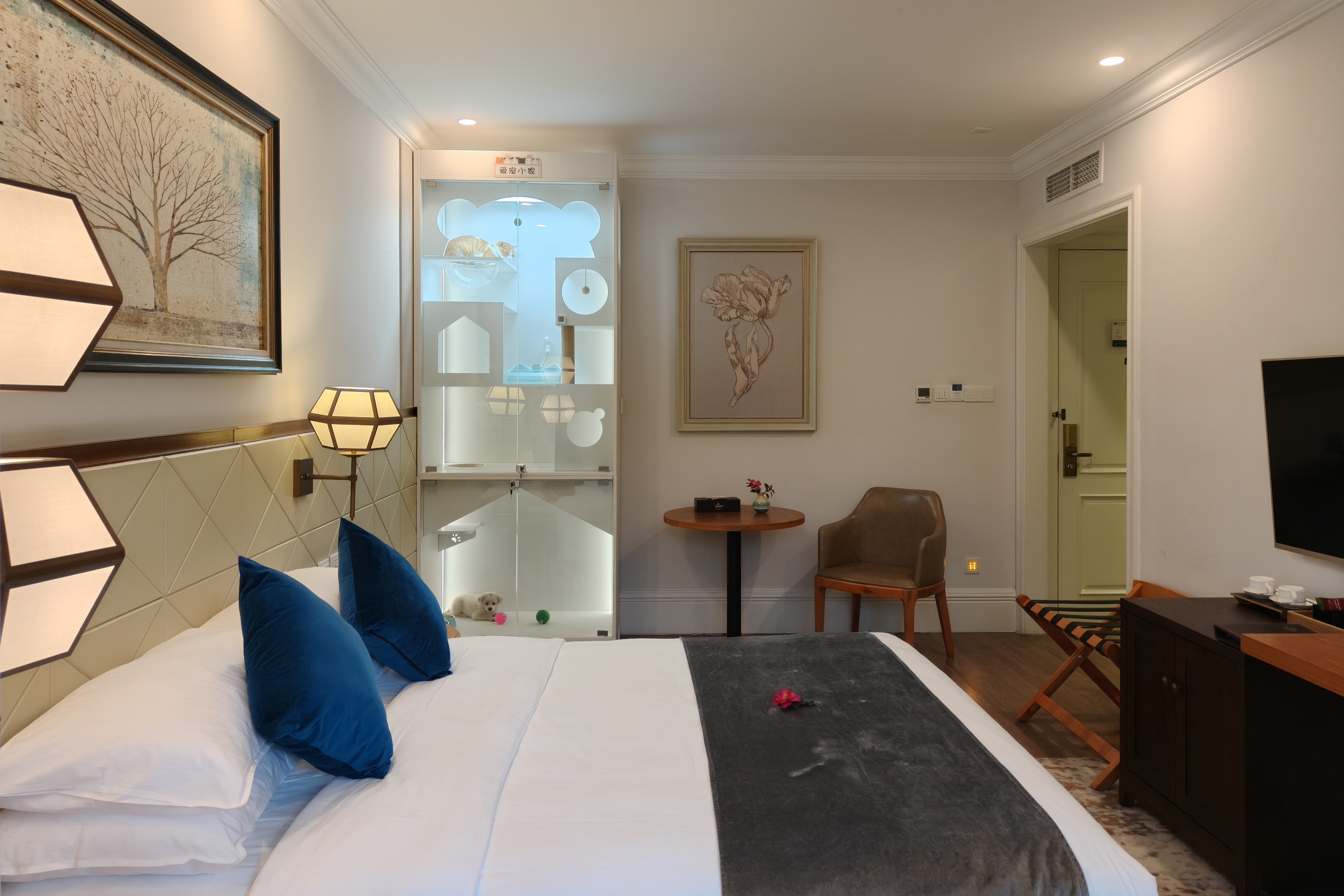 紫荆苑独栋小楼-宠物之家