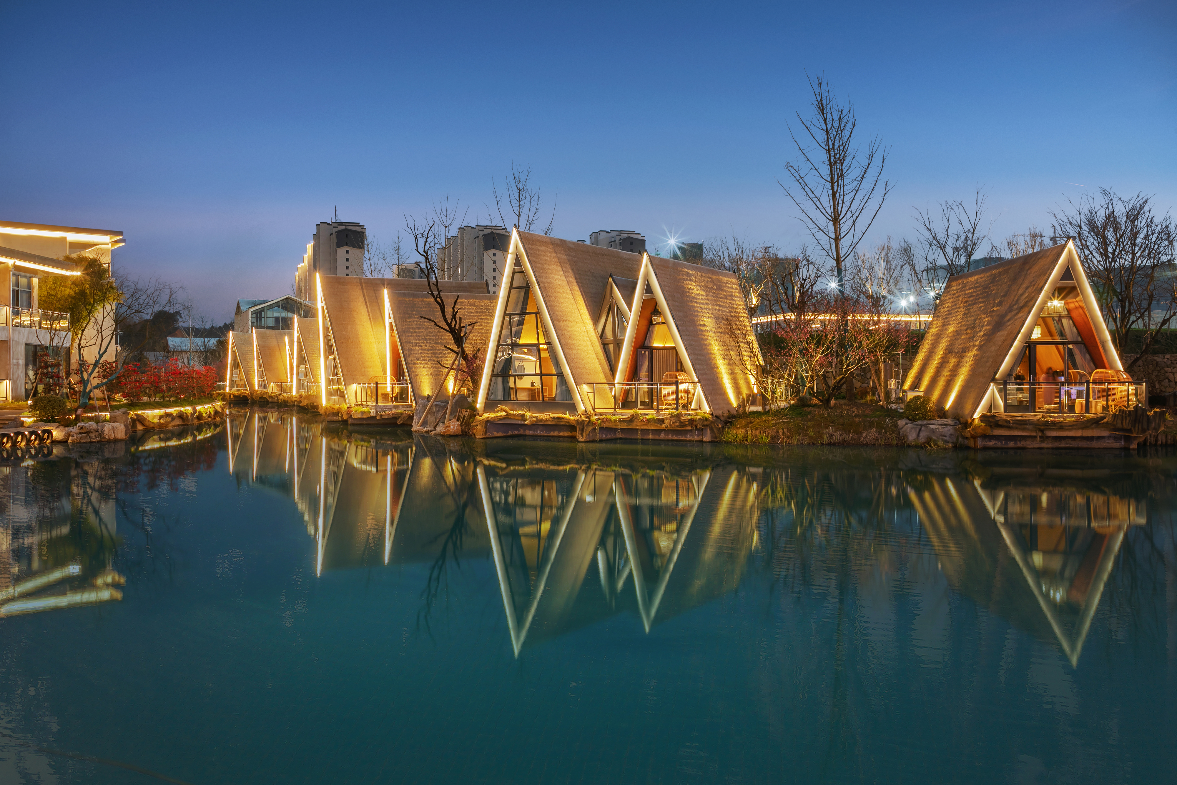 Cabin Suite - With View