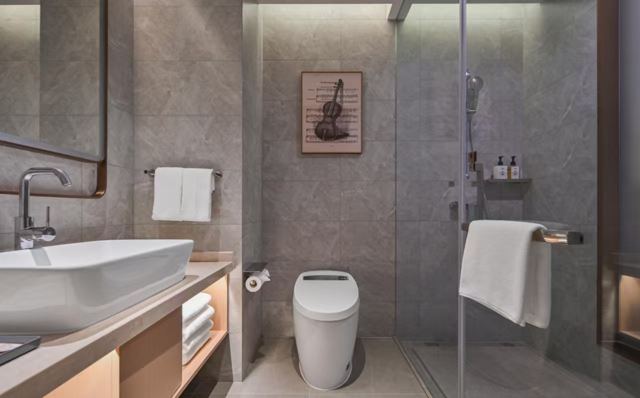 豪华双床房（手机投屏+智能客控）