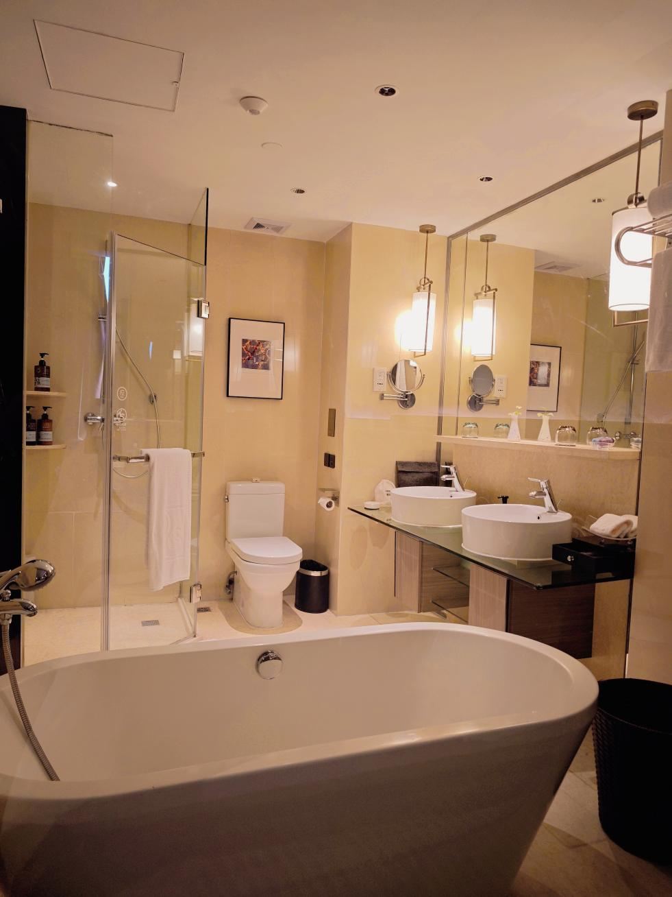 商务楼|商务大床房（电视投屏+护颈枕+德国高端衞浴）