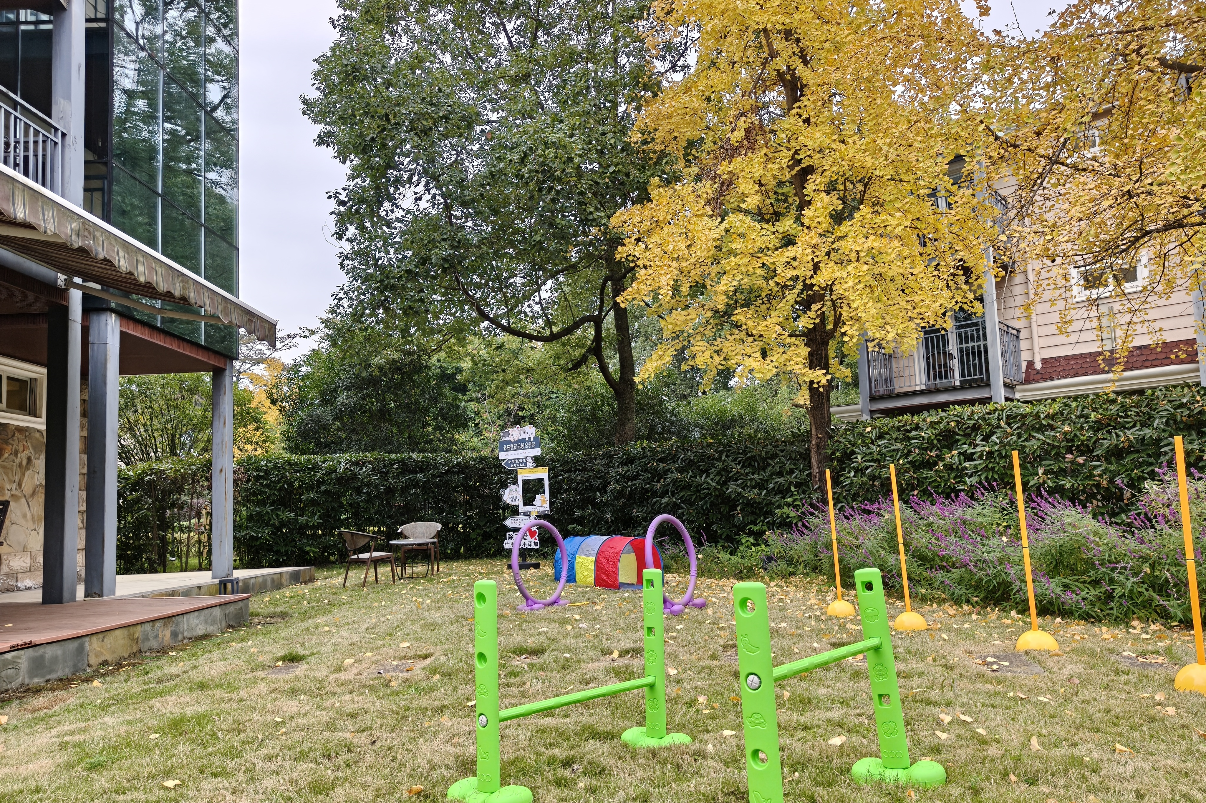 紫荆苑独栋小楼-宠物之家