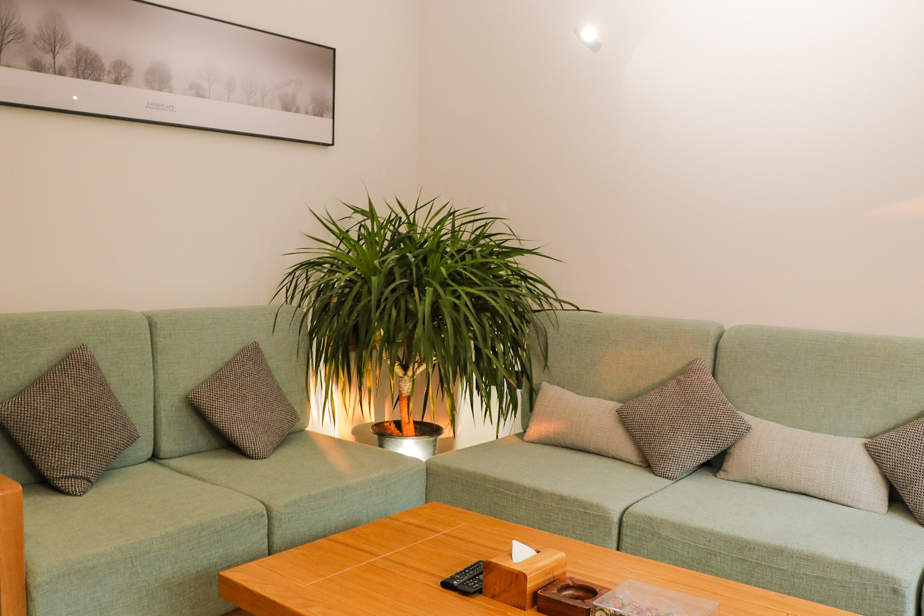 （陌云）二室一厅家庭房.独立院落.独门独院