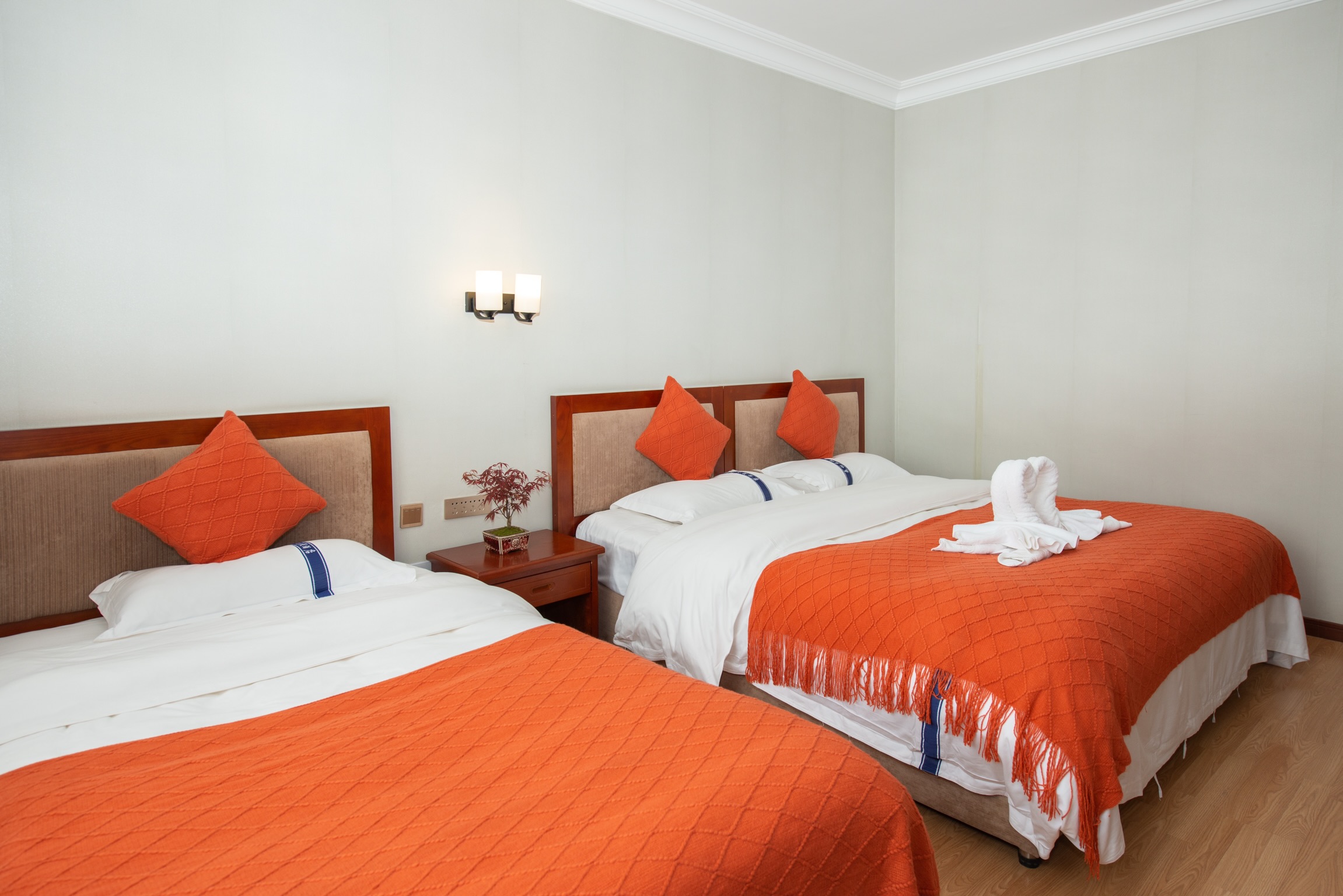 Forest · Cozy Family Room