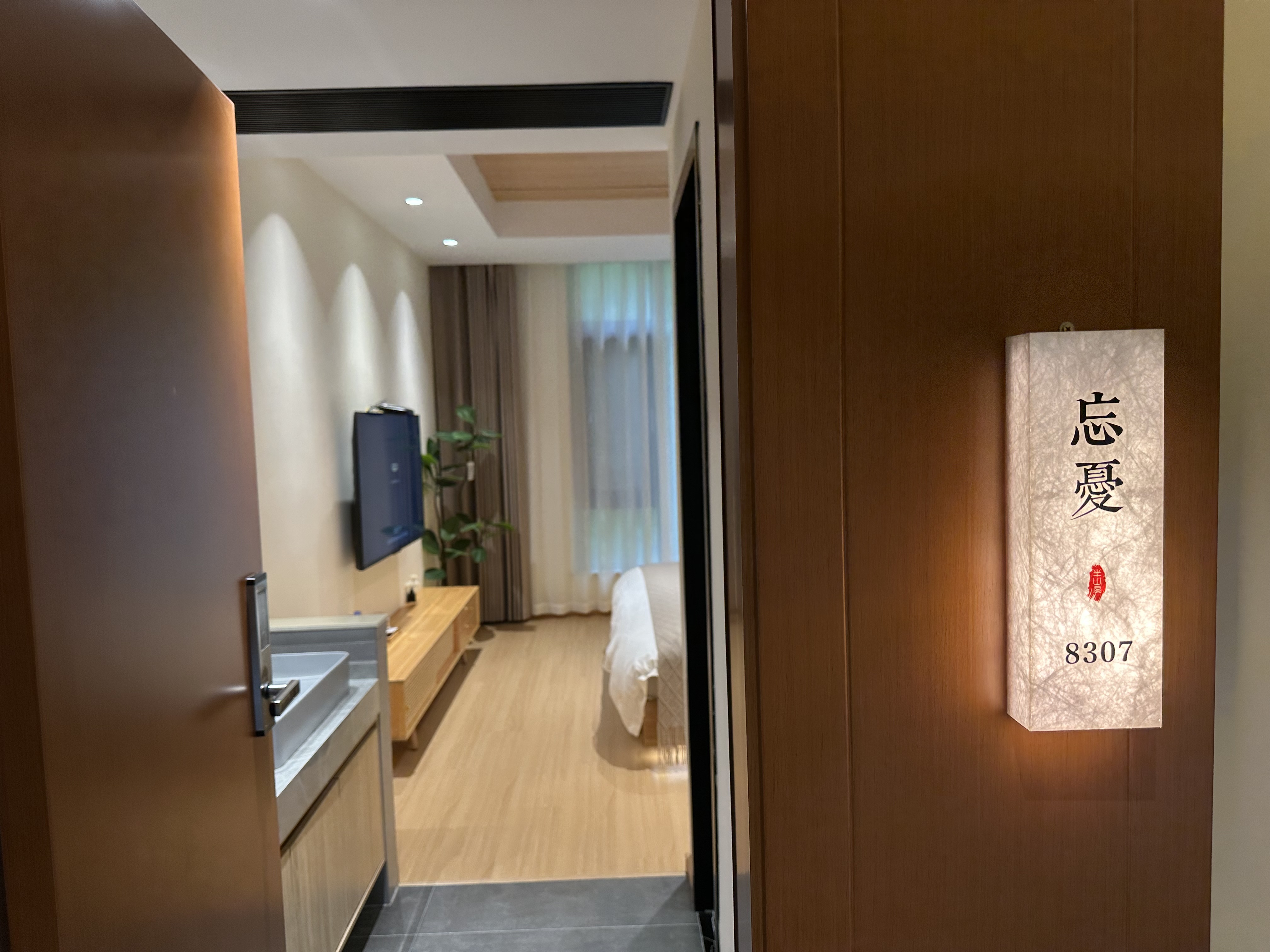 忘忧·观山大床房