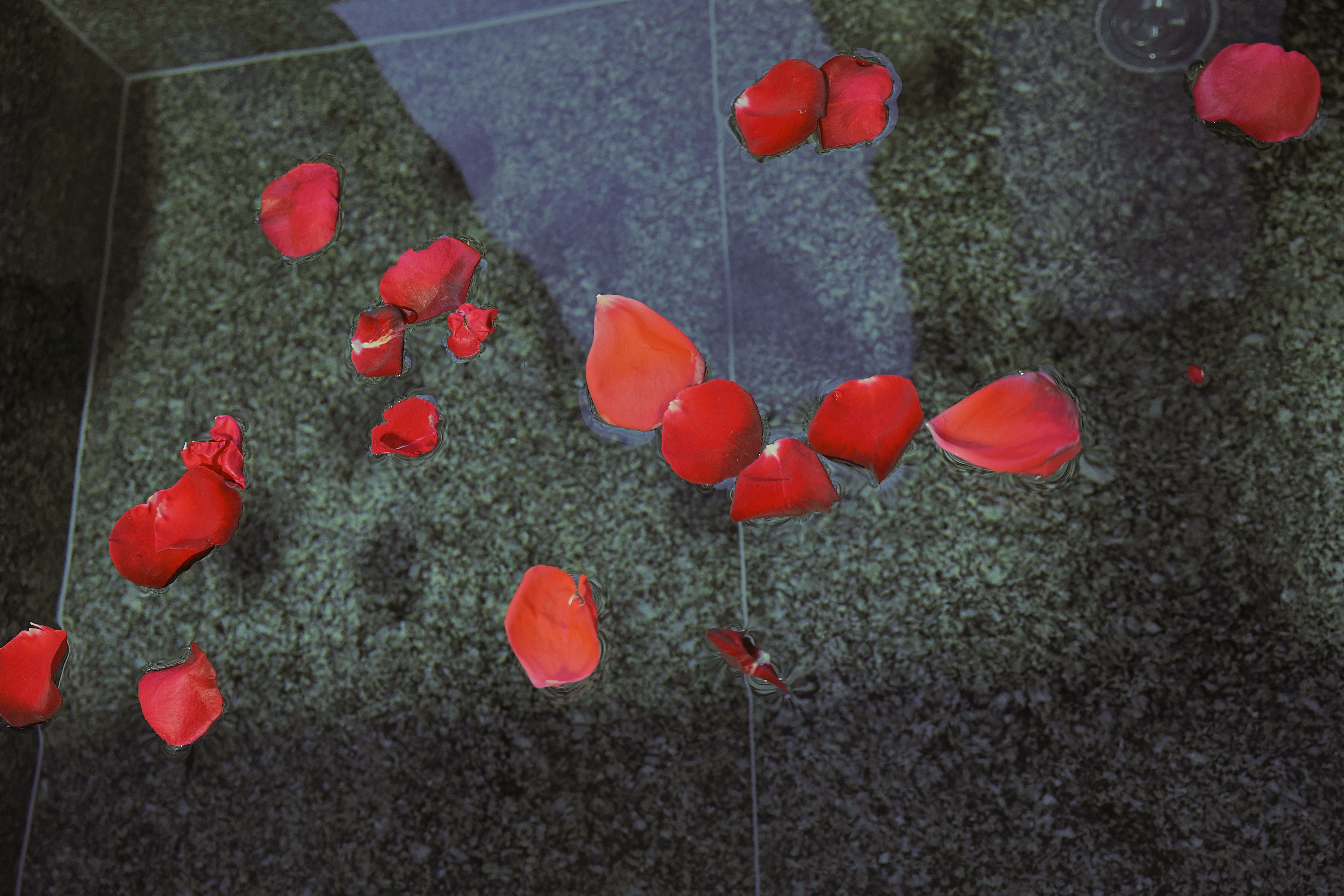 无晚·无为·温泉泡池榻榻米双床房『小冰箱·壁炉·自动窗帘·原木家俱·庭院美景』