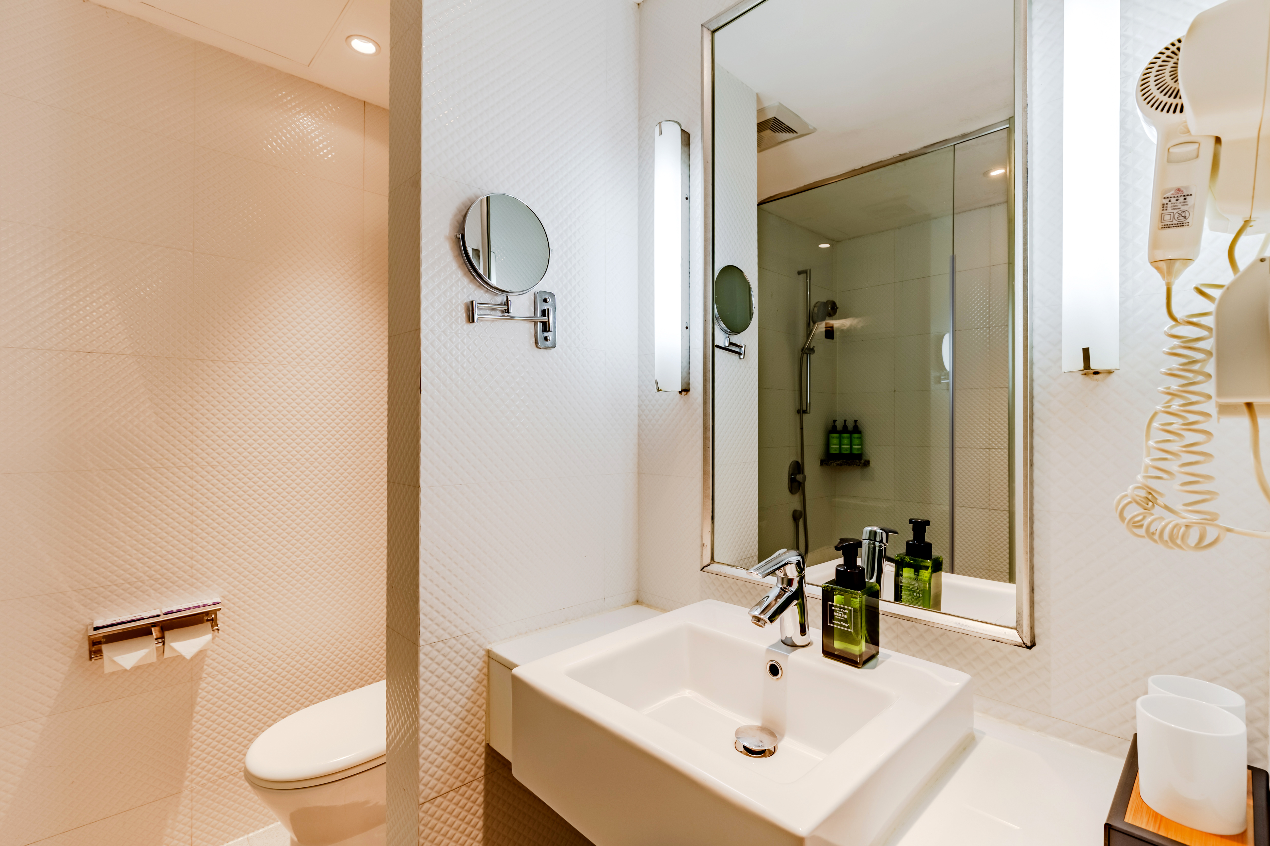 Business Room (2 beds)