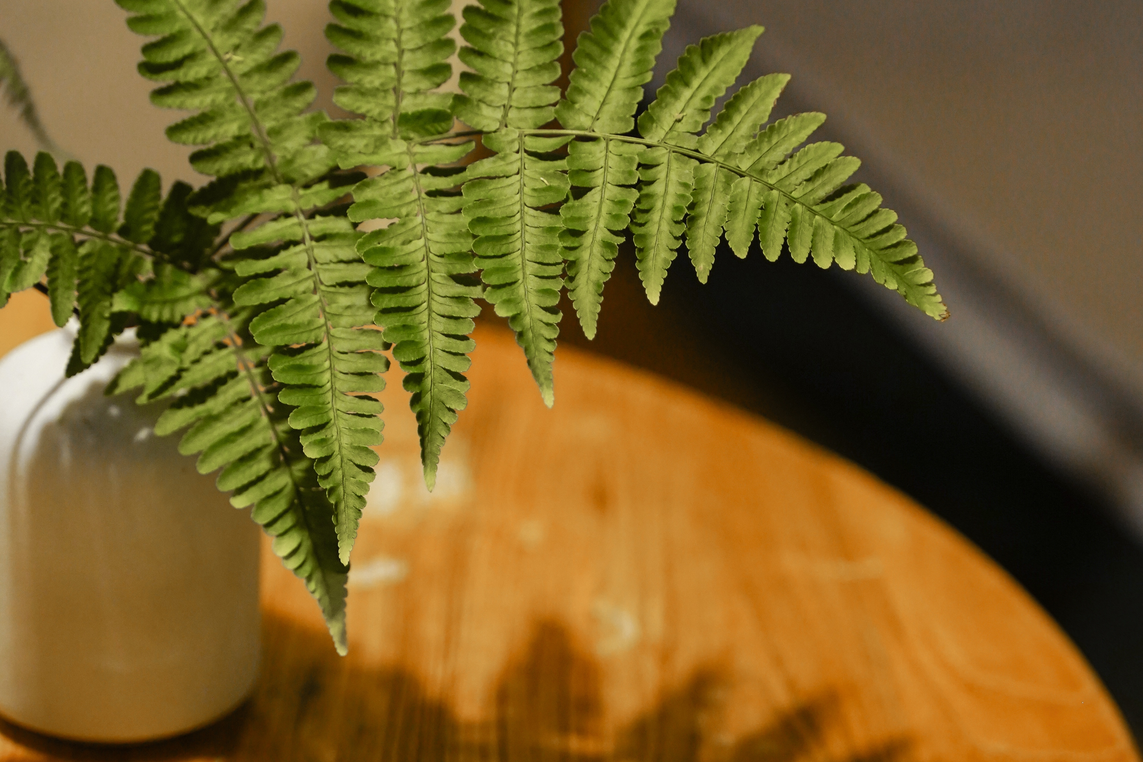 Bamboo Smoke And Moon Glamping-Family Luxury Tent With Private Courtyard (Air Conditioned, Private Bathroom)