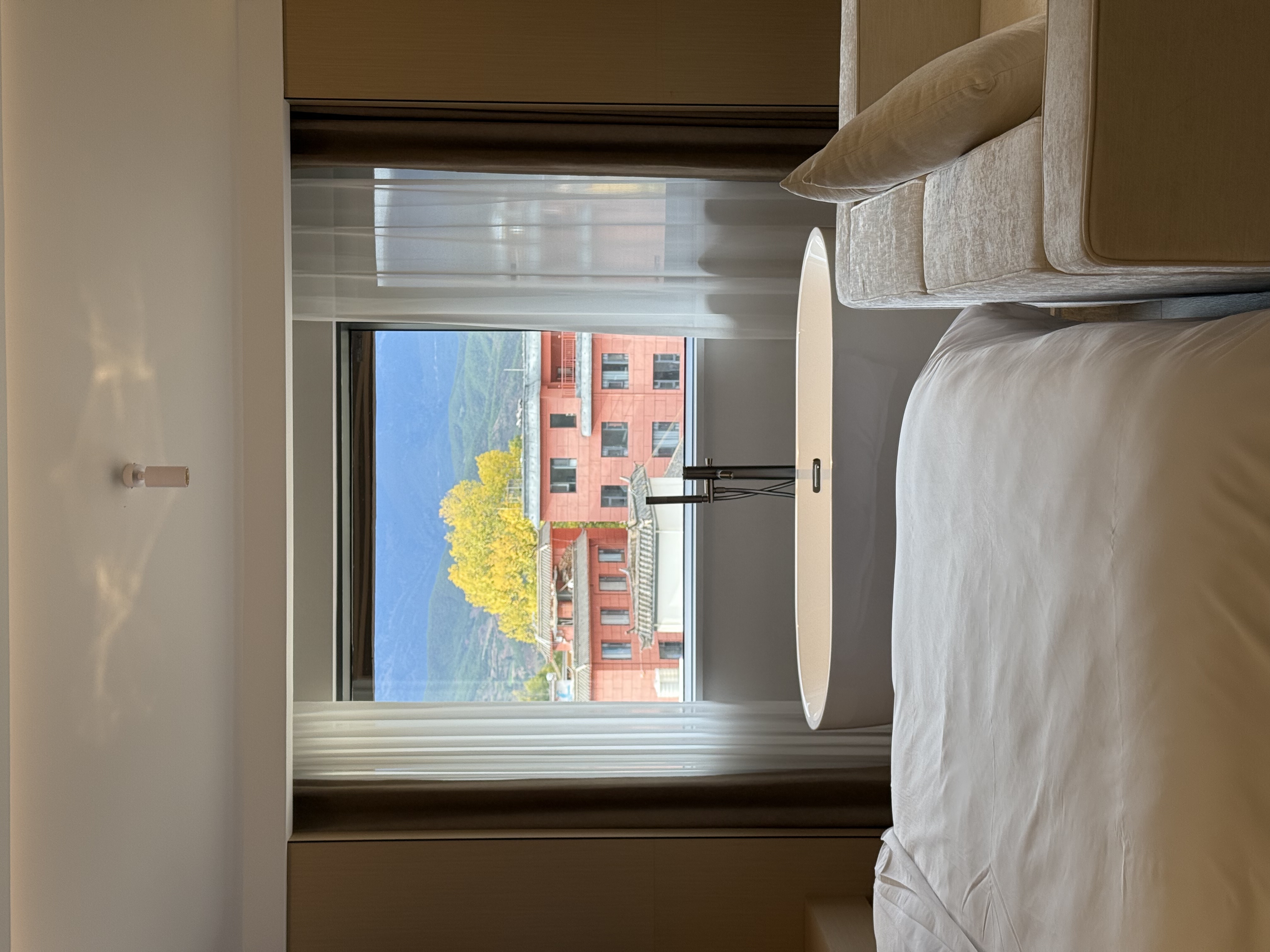 豪华套房（大床）