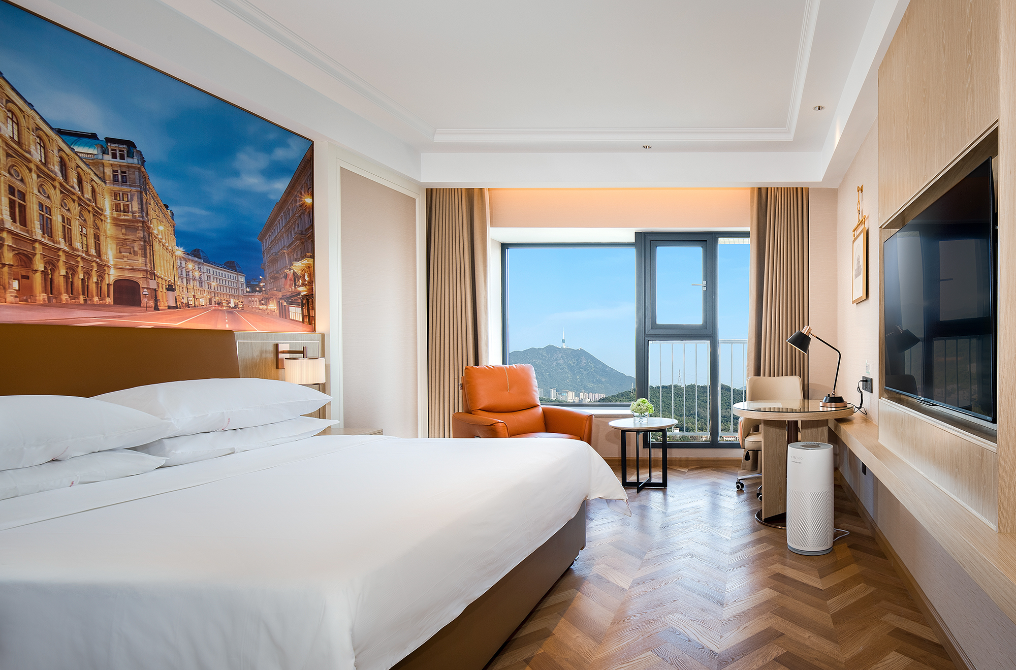 纯净大床房（语音客控+空气净化器+雾化玻璃）