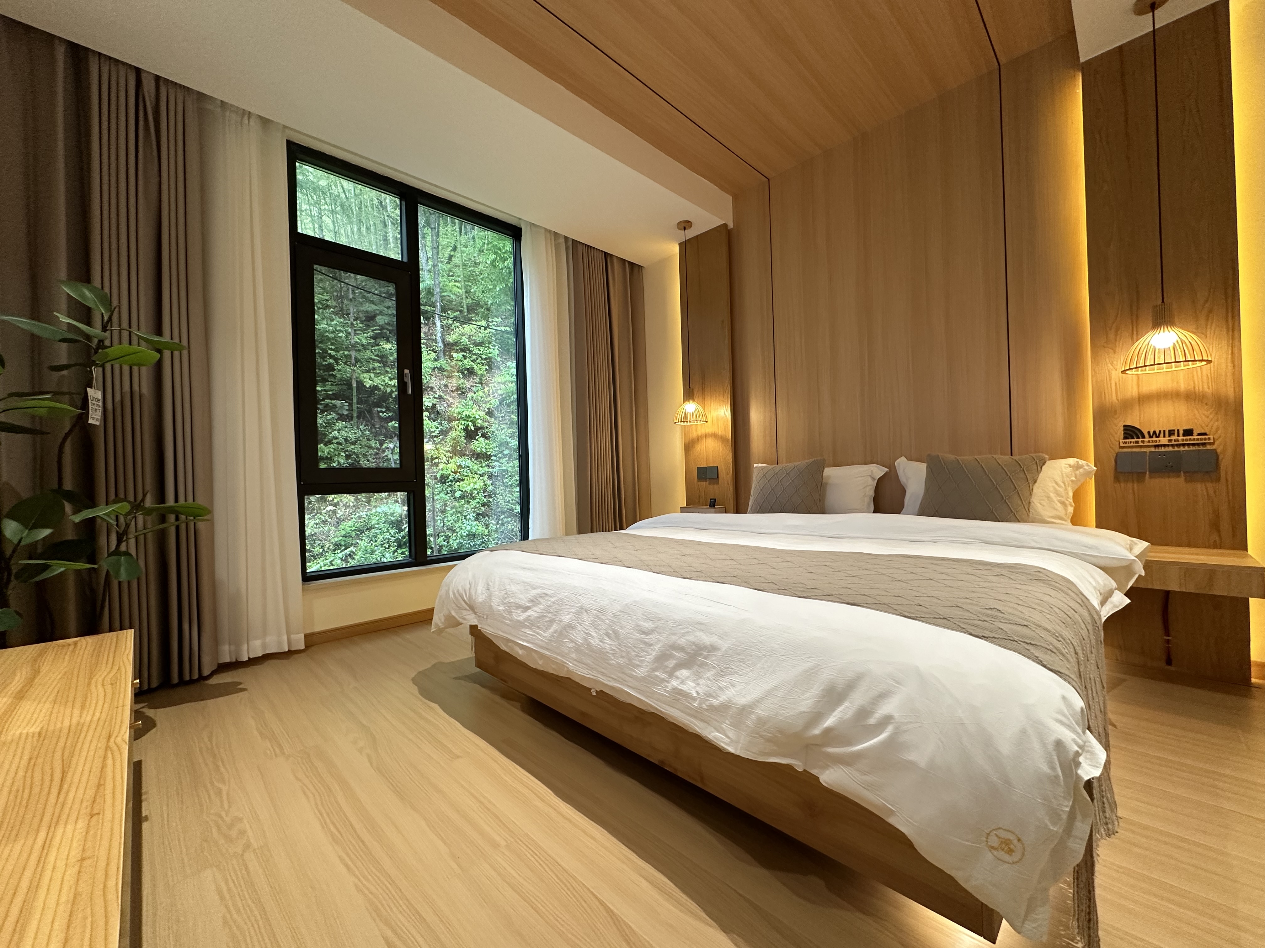 忘忧·观山大床房