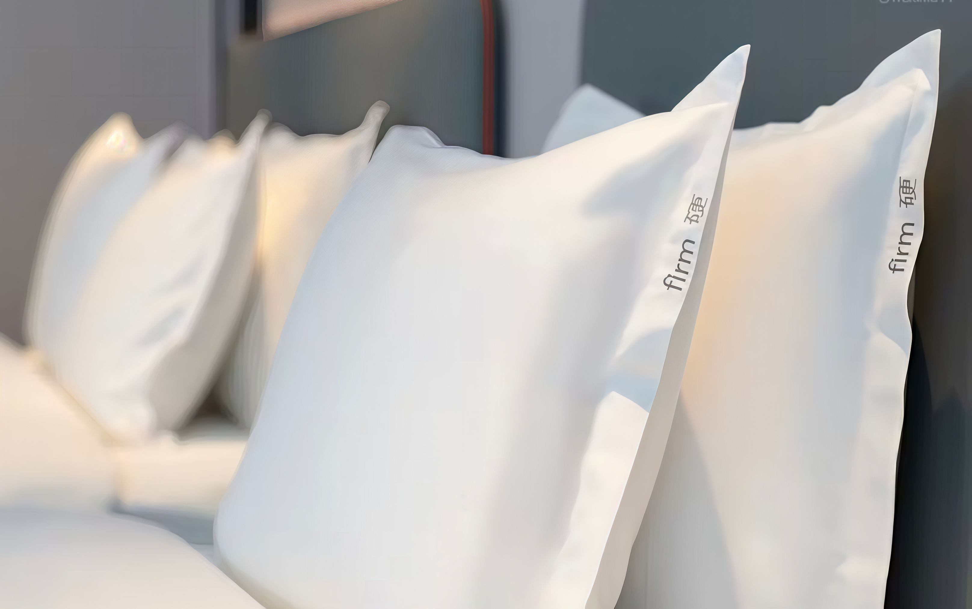 Expansive Business Double Bed Room