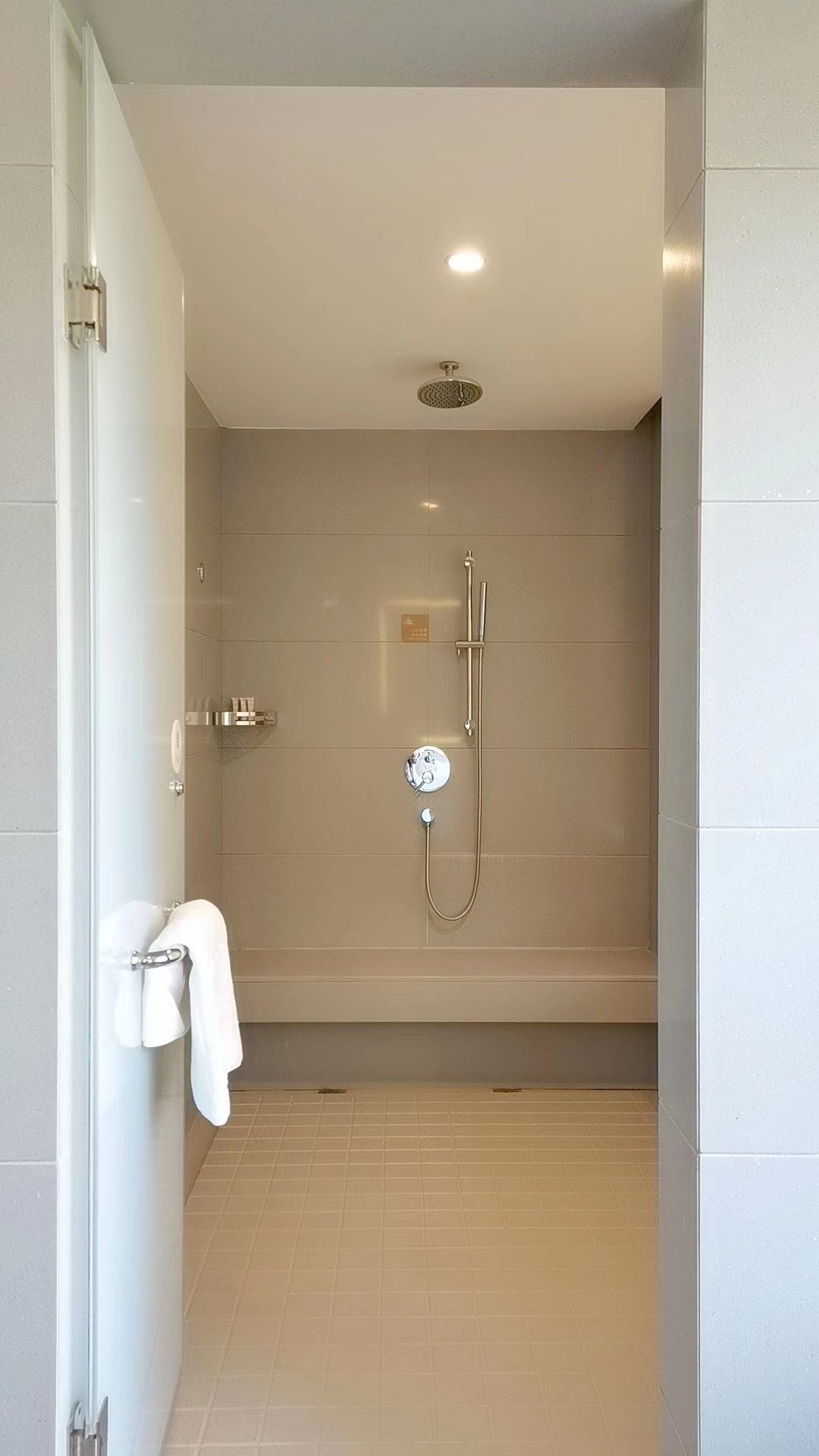 高级套房（超大空间+智能马桶）