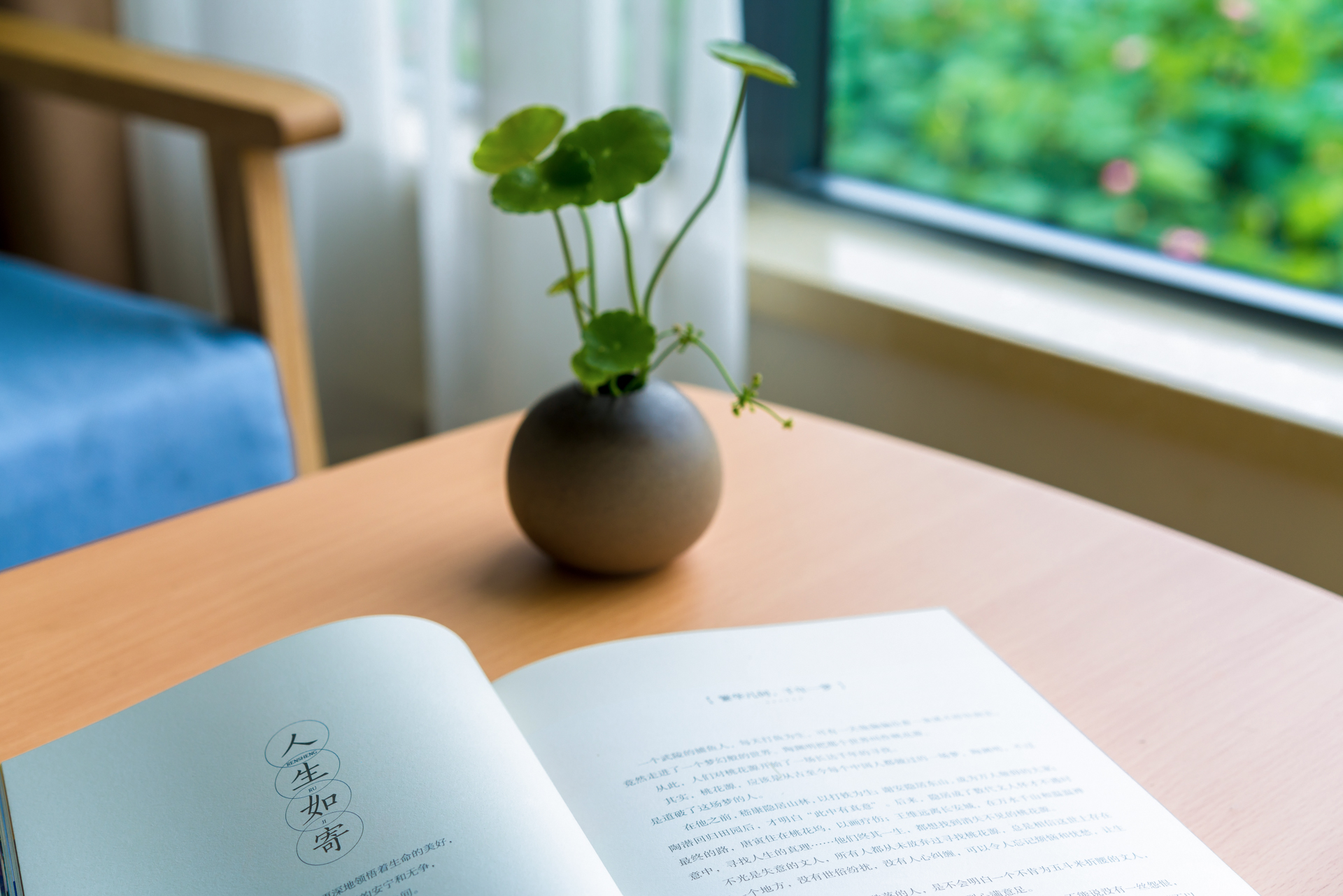 阳光田园家庭房