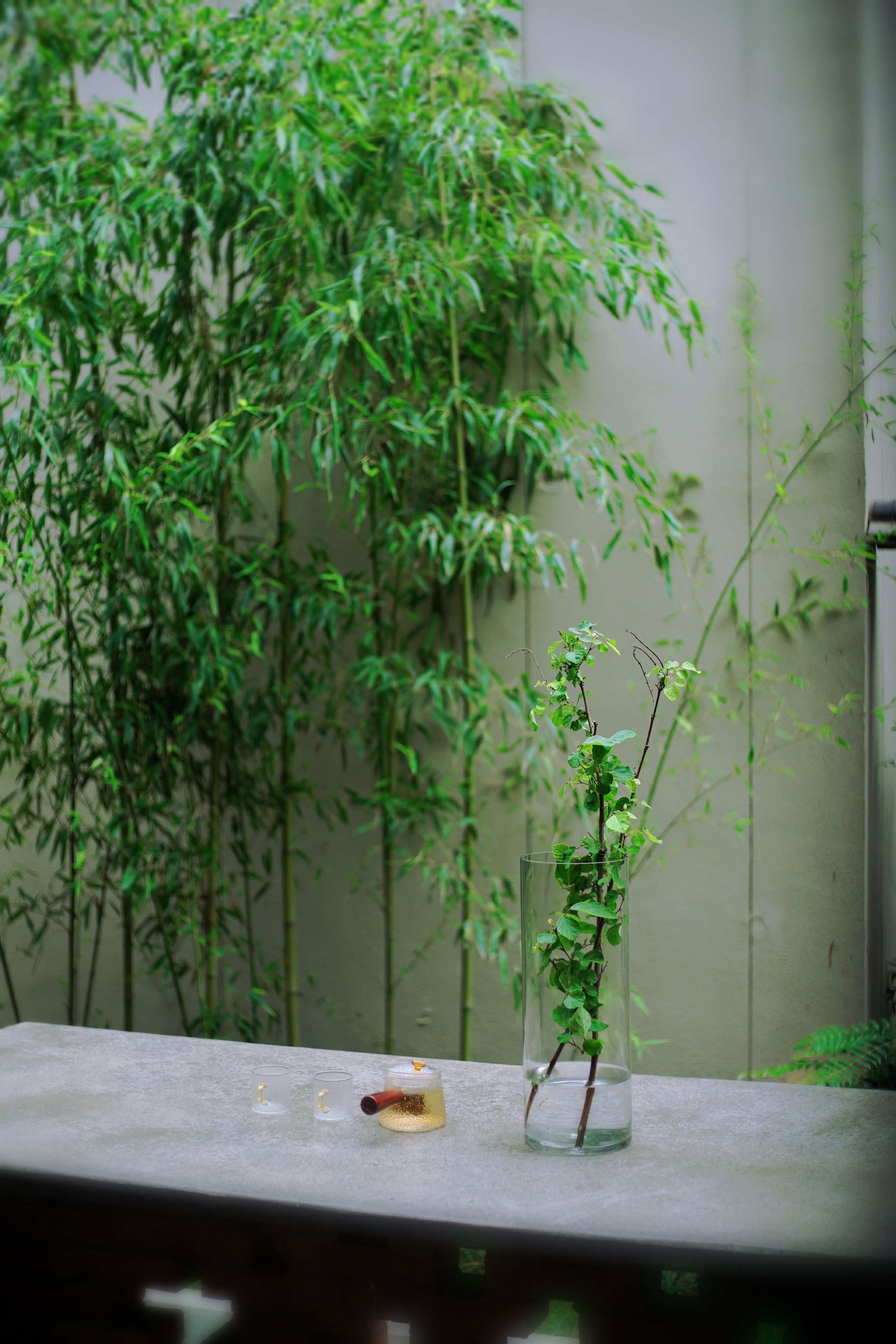 澄懷觀道丨卧以遊之三房別墅（聯排別墅+私湯温泉+超大庭院+全屋地暖）