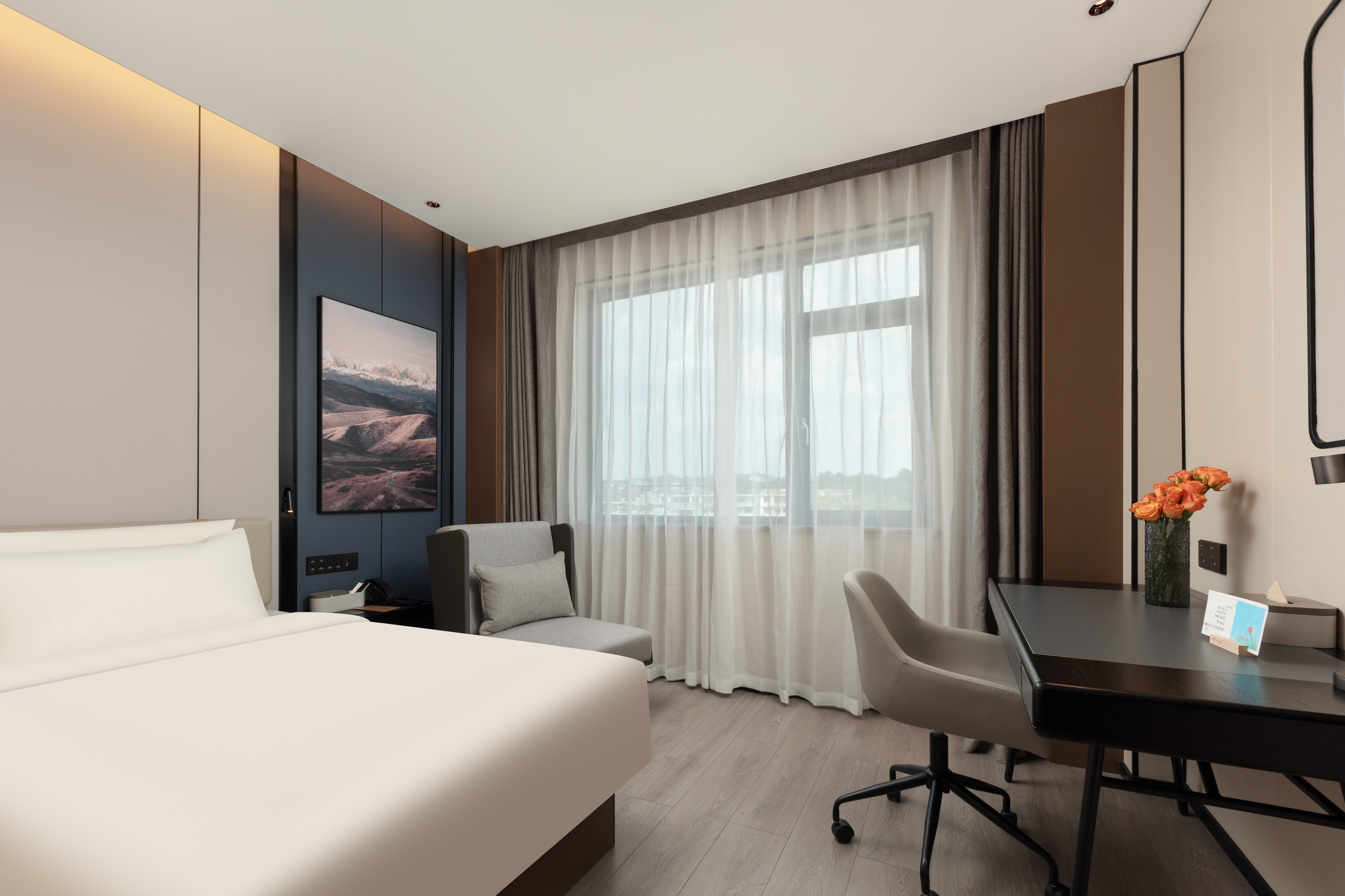 高级双床房（Mini小冰箱+投屏电视+深睡枕PRO）