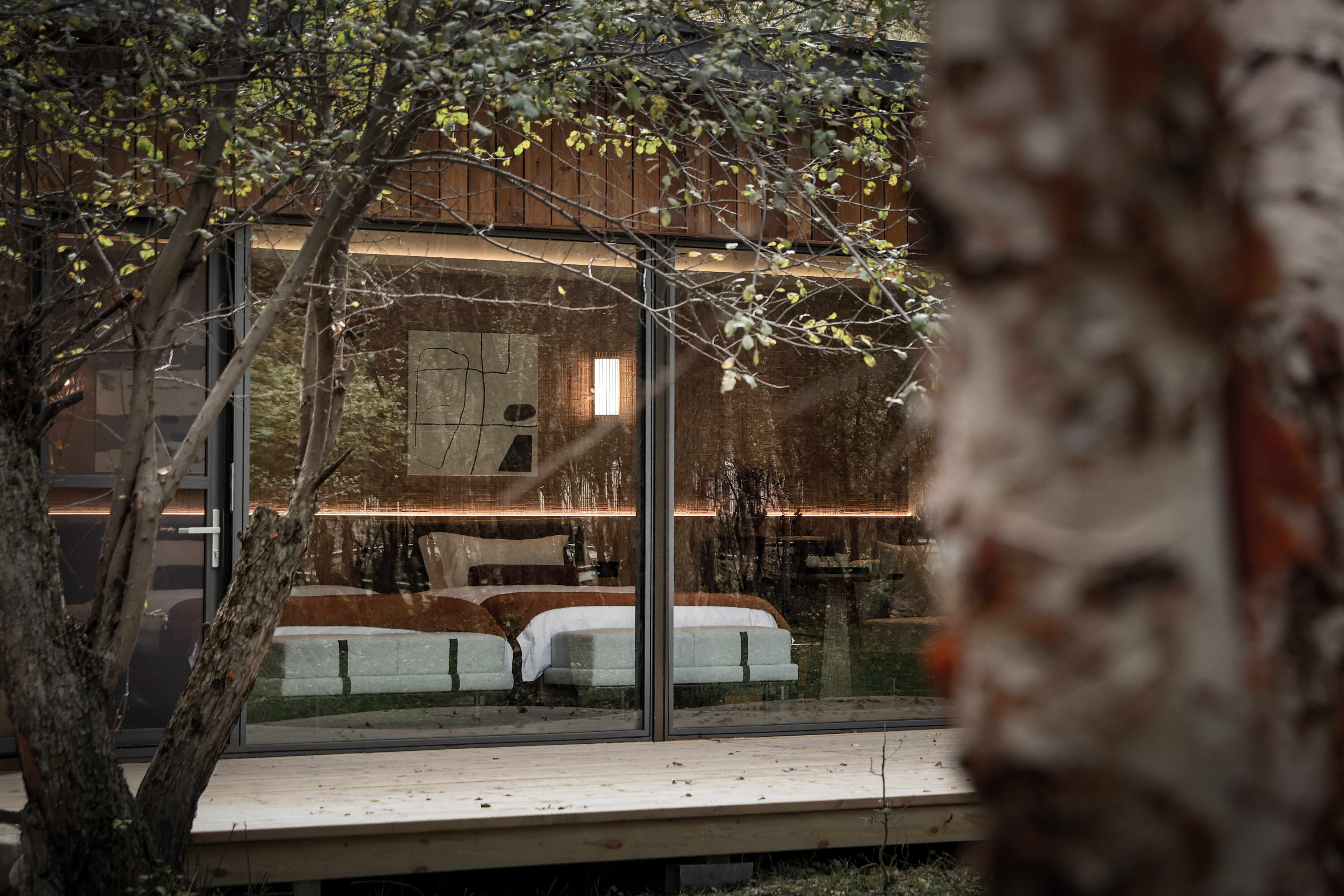 森林豪华双床房