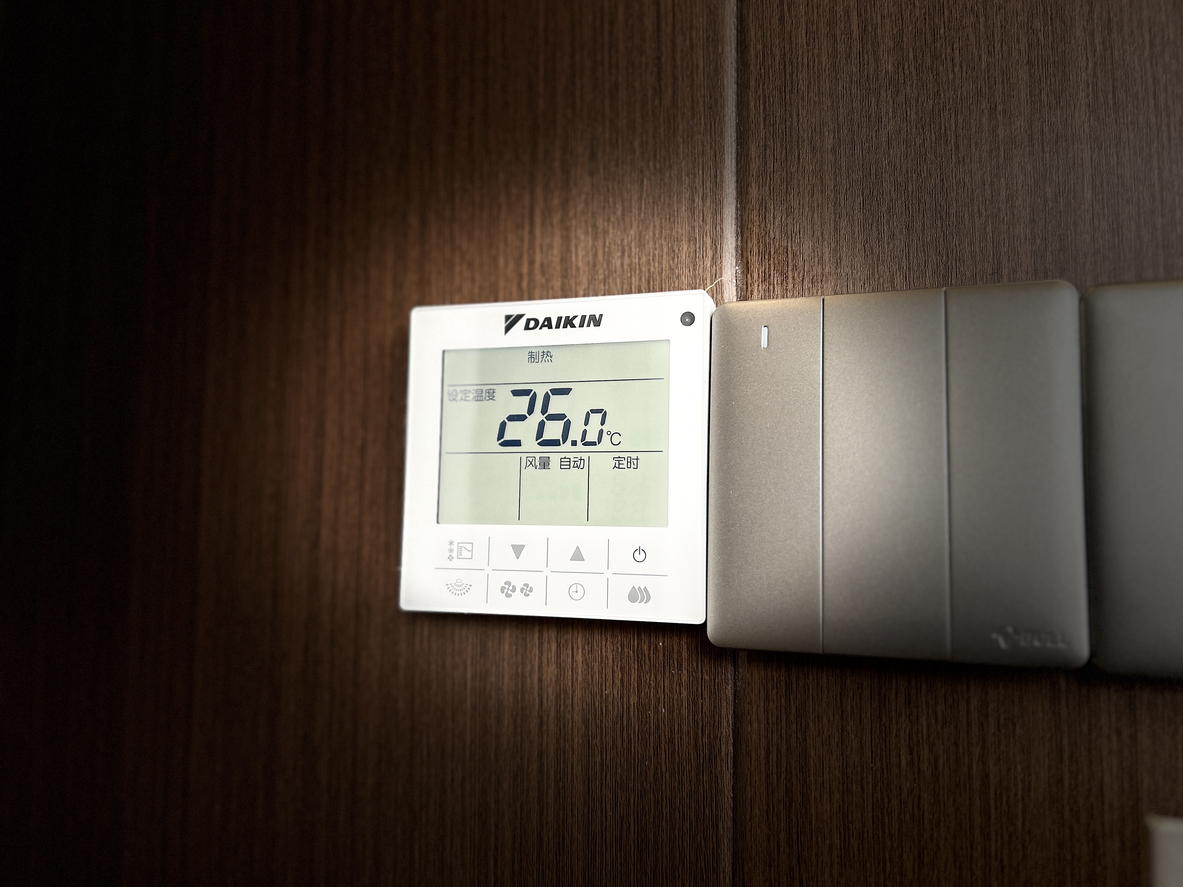 Hot Spring Room (King Bed)