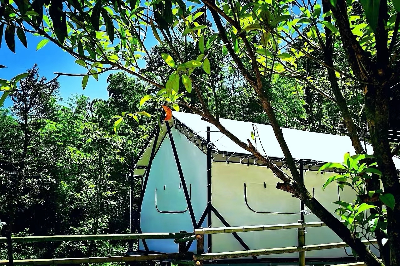 Family Friendly Tent (Air Conditioner, Private Bathroom)