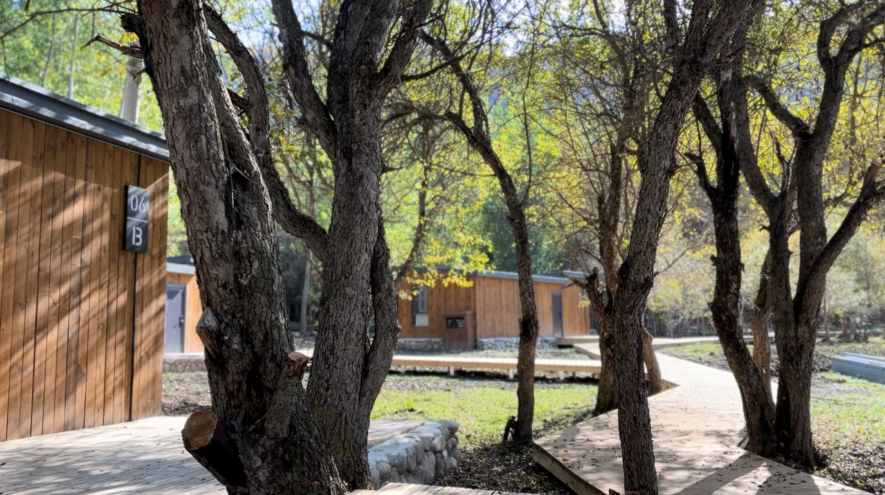 森林豪华双床房