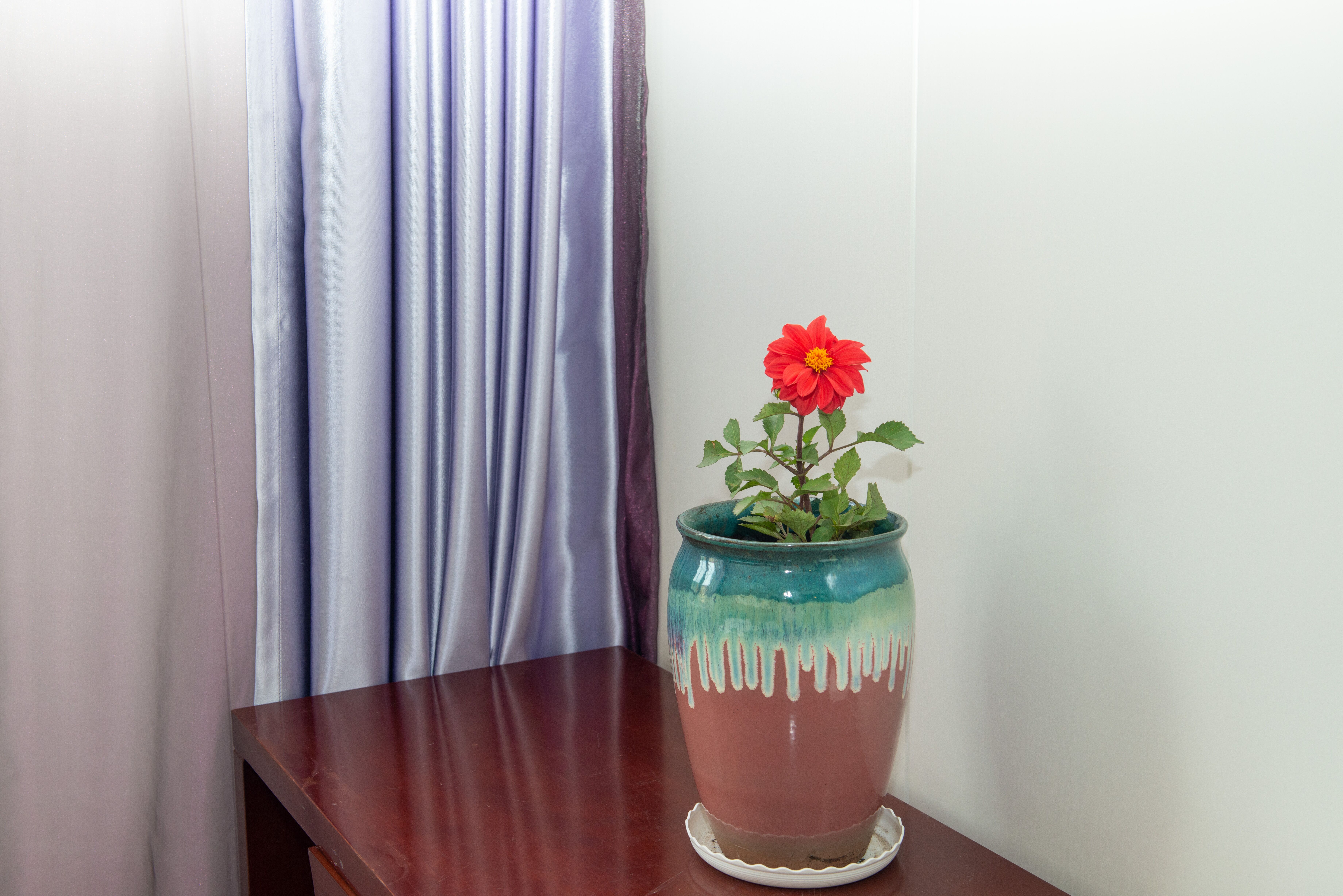 Forest Room (Double Bed)