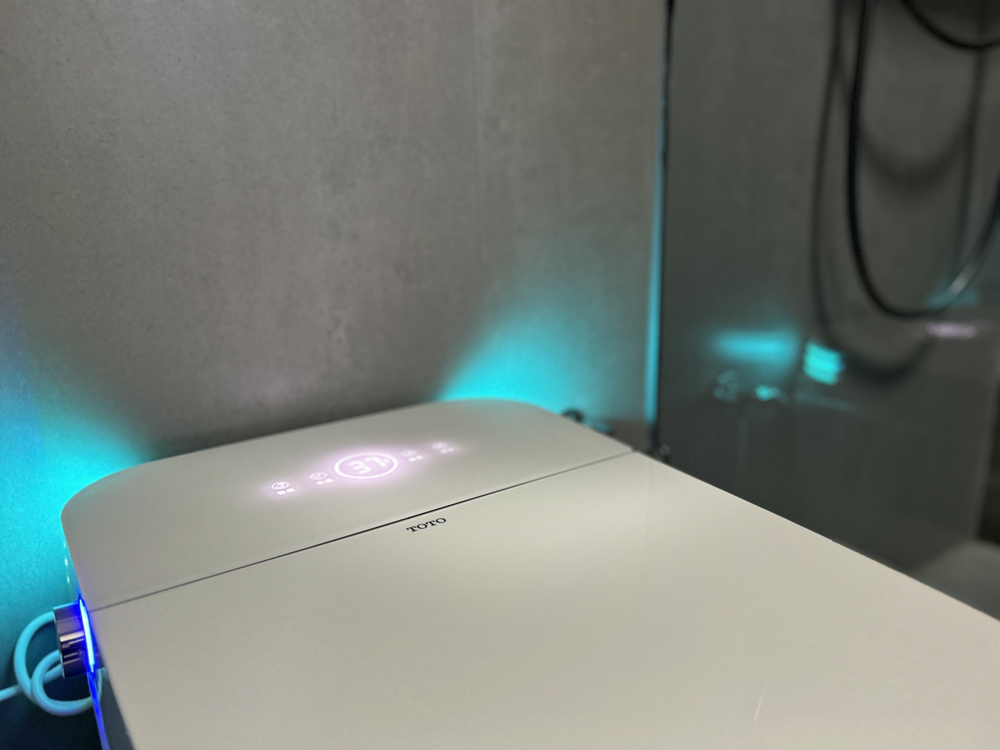 Hot Spring Room (King Bed)