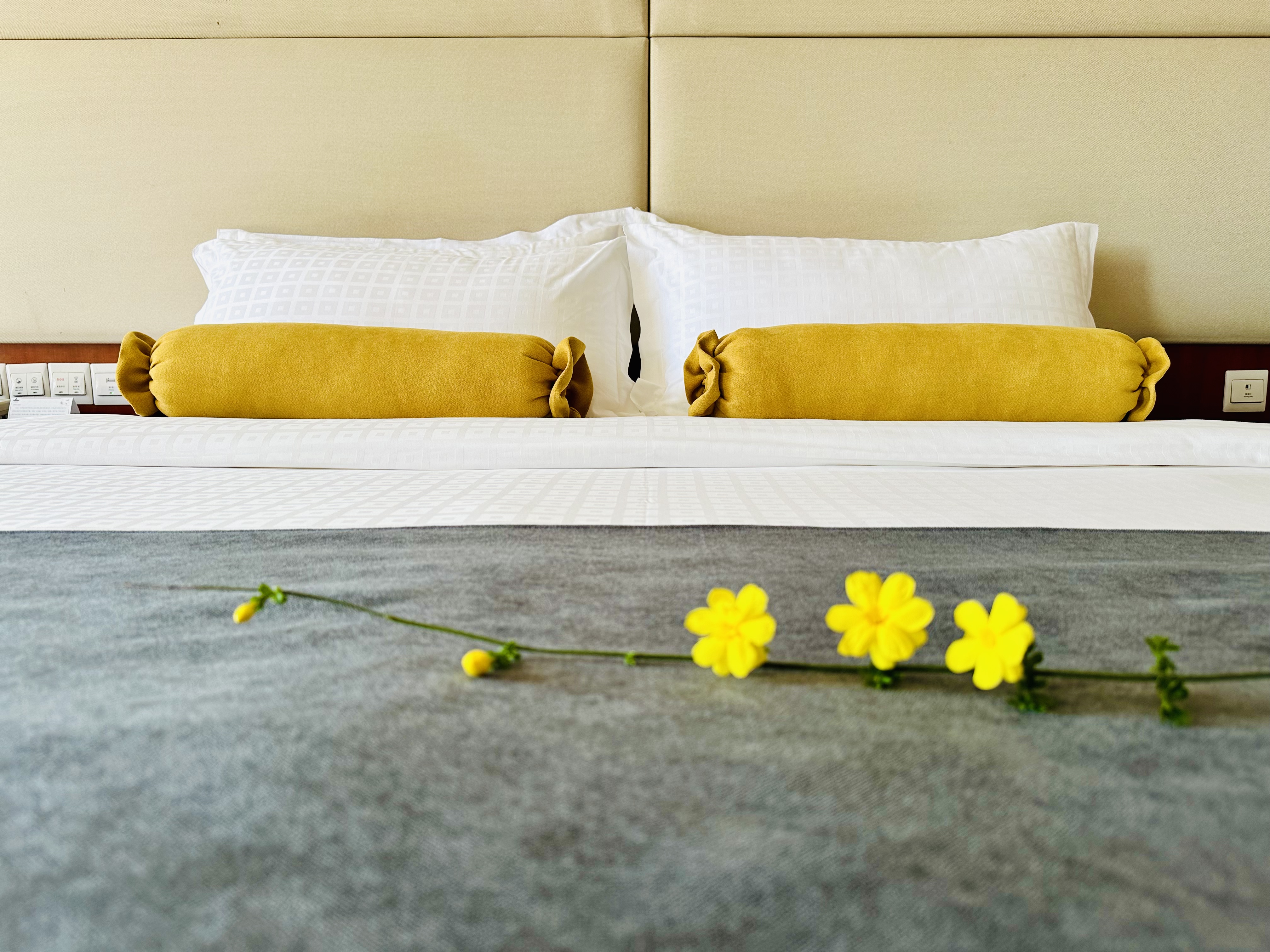 安睡大床房-医疗级深睡床垫