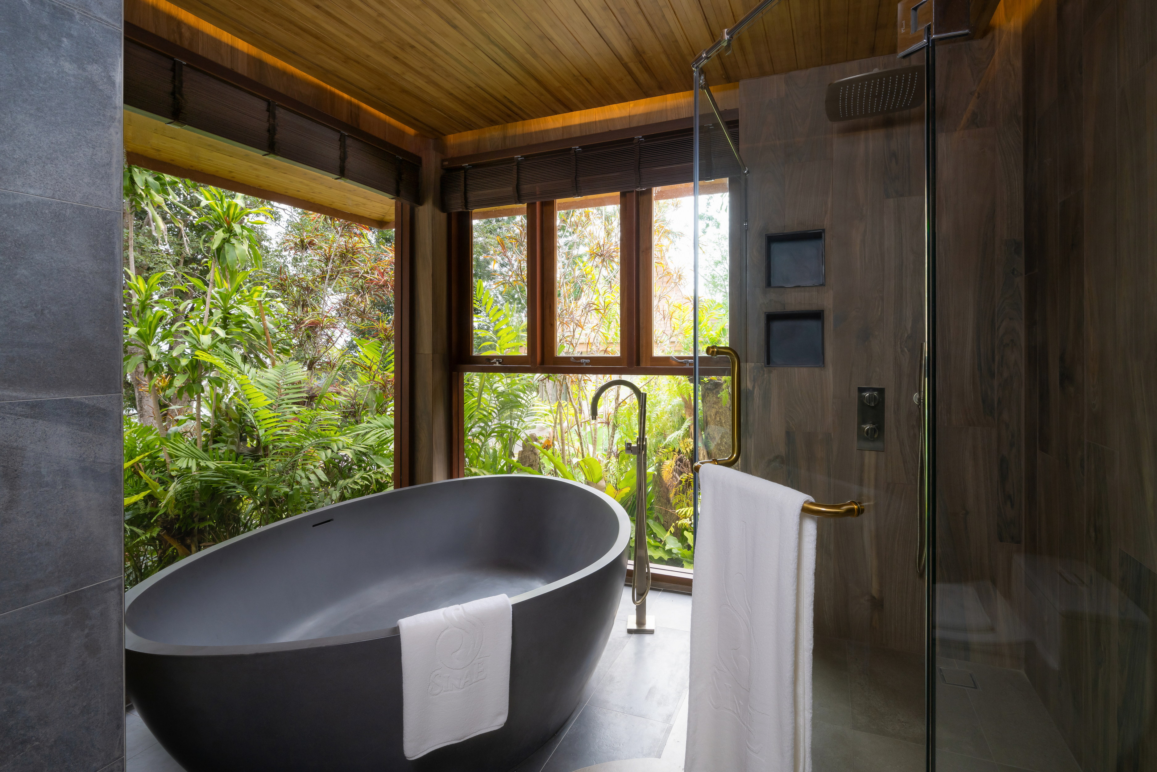 西奈尊貴泳池套房