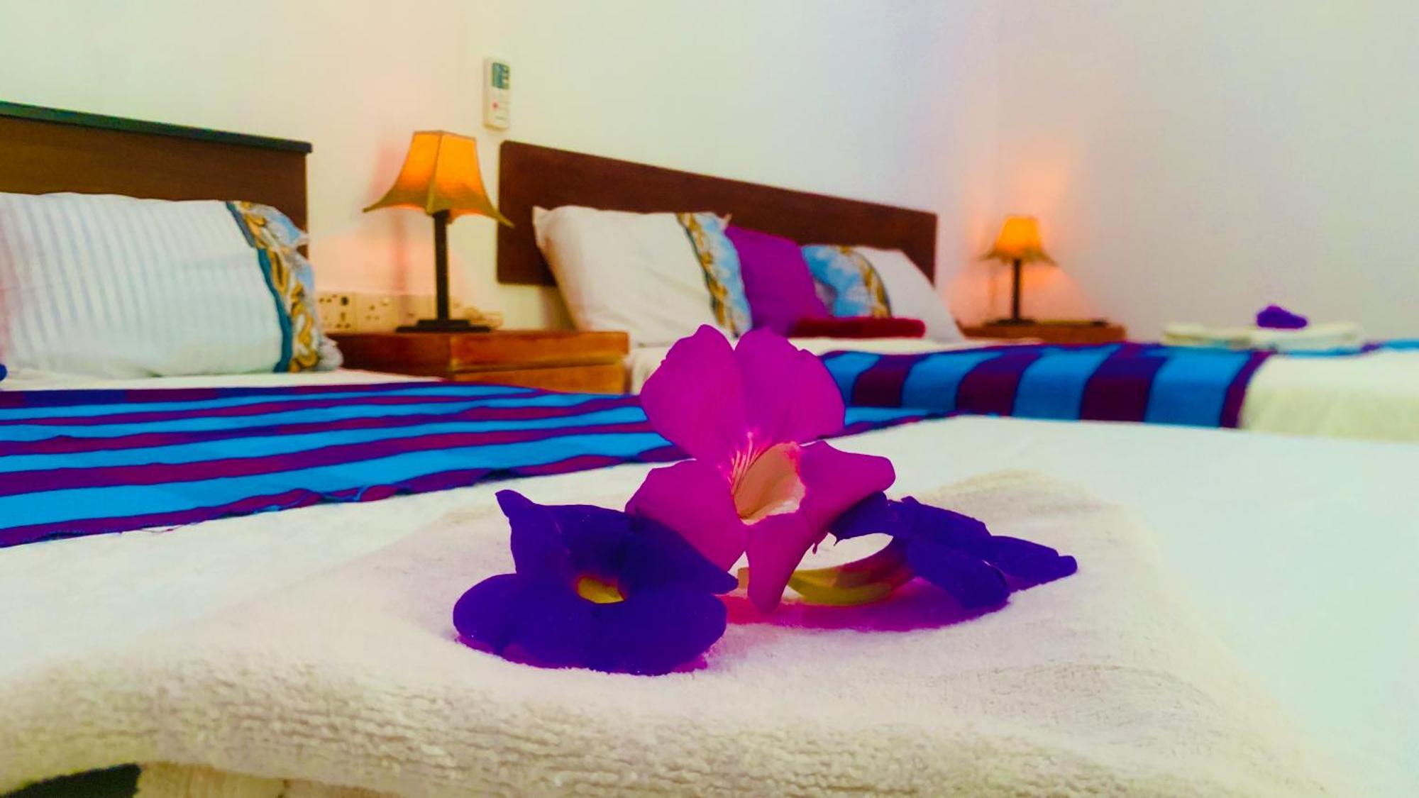 Aloe Homestay（床位房）（混合入住）