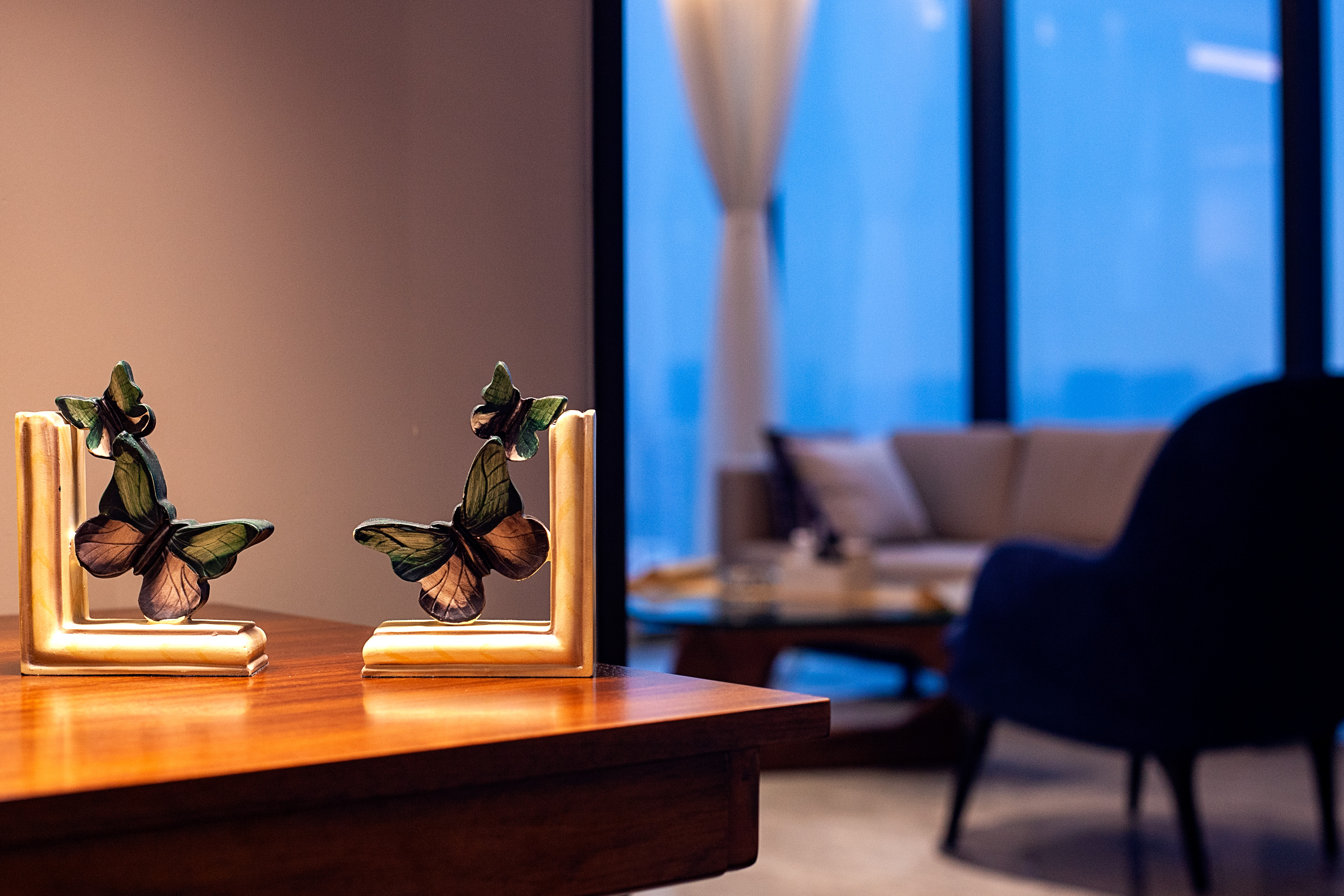 尊享双卧套房（洗衣机+熨衣设备+咖 啡机）