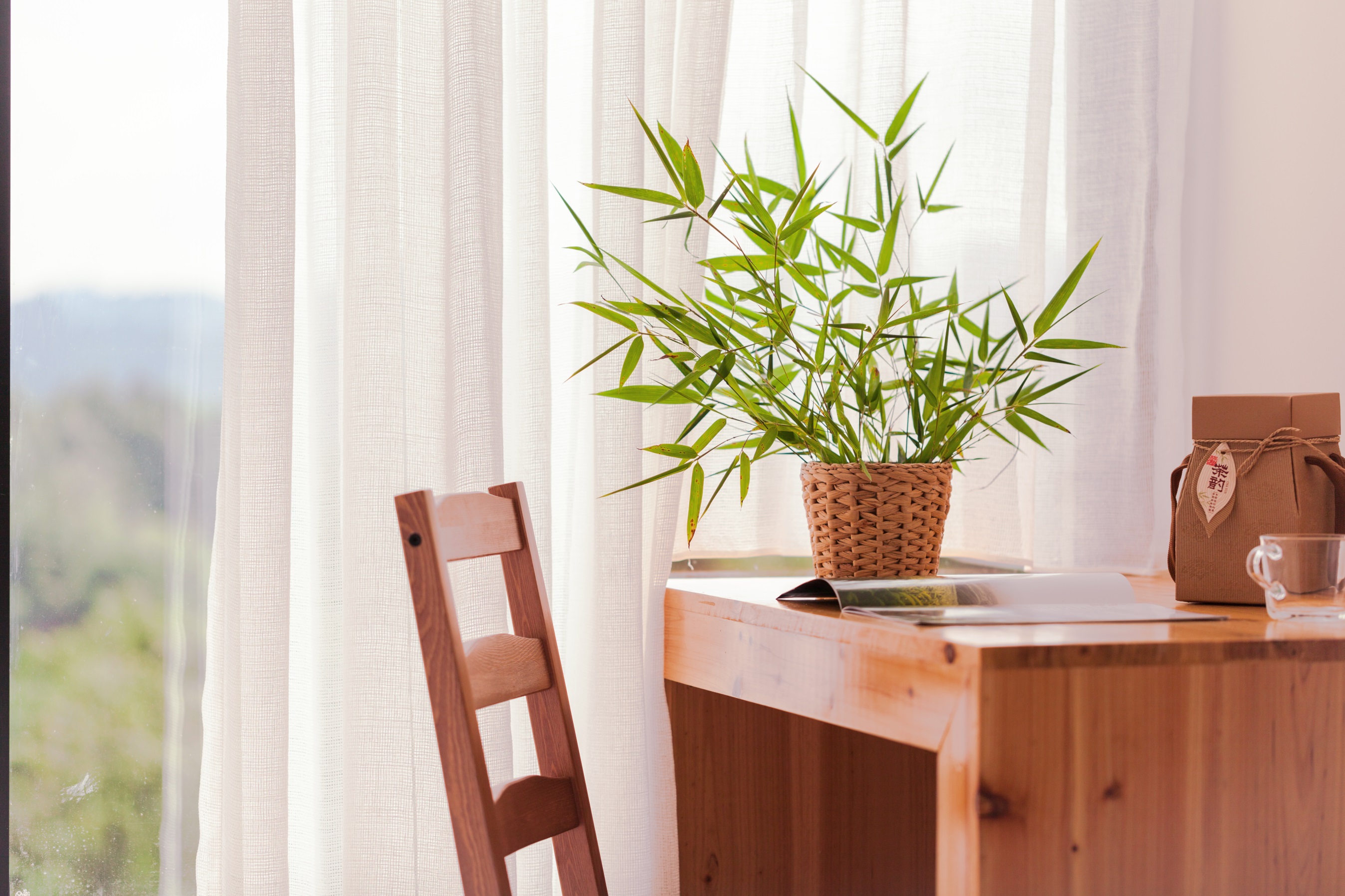 Greenfield Cloud Sea Room