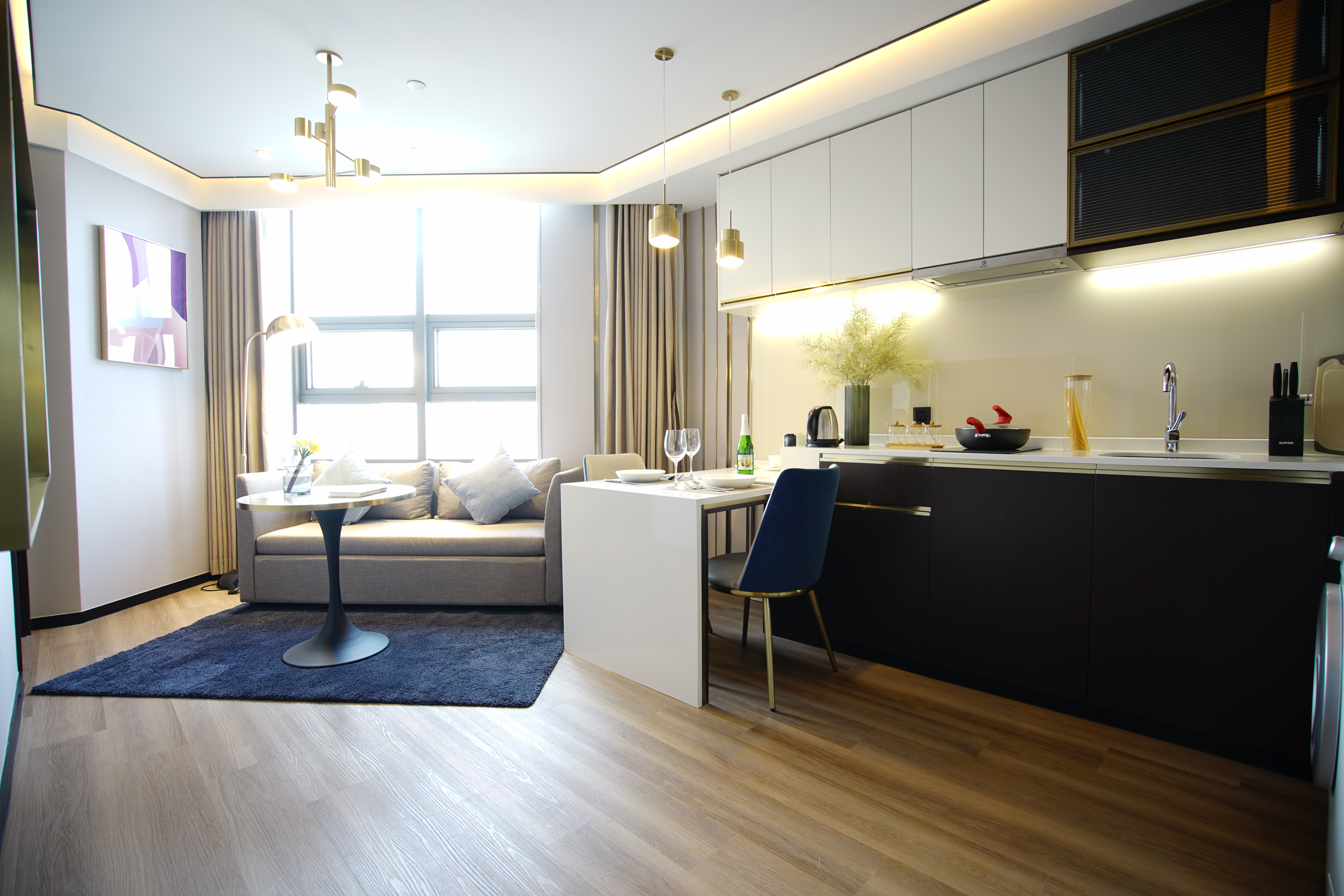 一房豪华套房（洗烘机+冰箱+厨房+微波炉+可投屏）