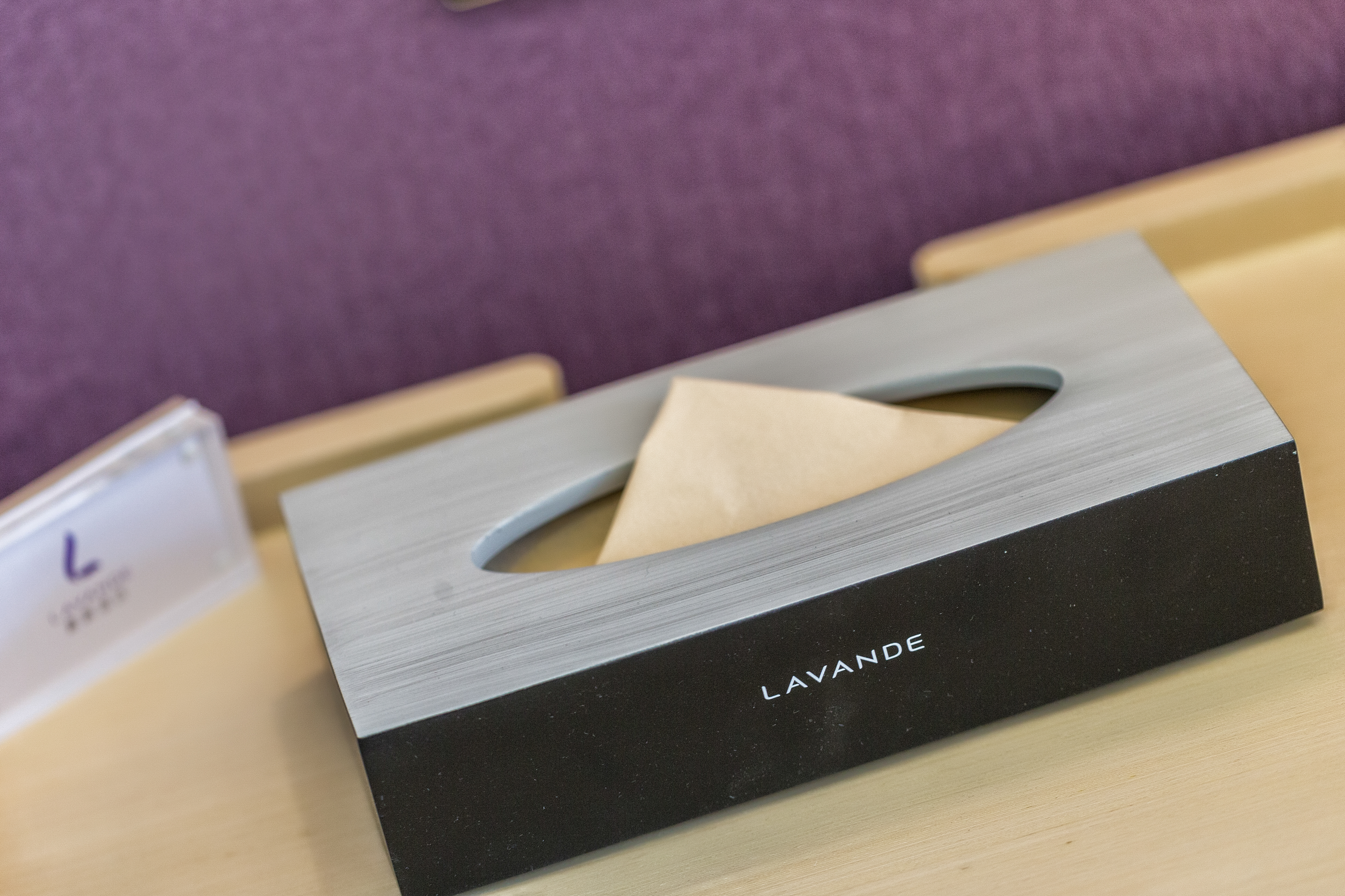 豪华双床房（慕思床垫+电视投屏+智能客控+小冰箱）