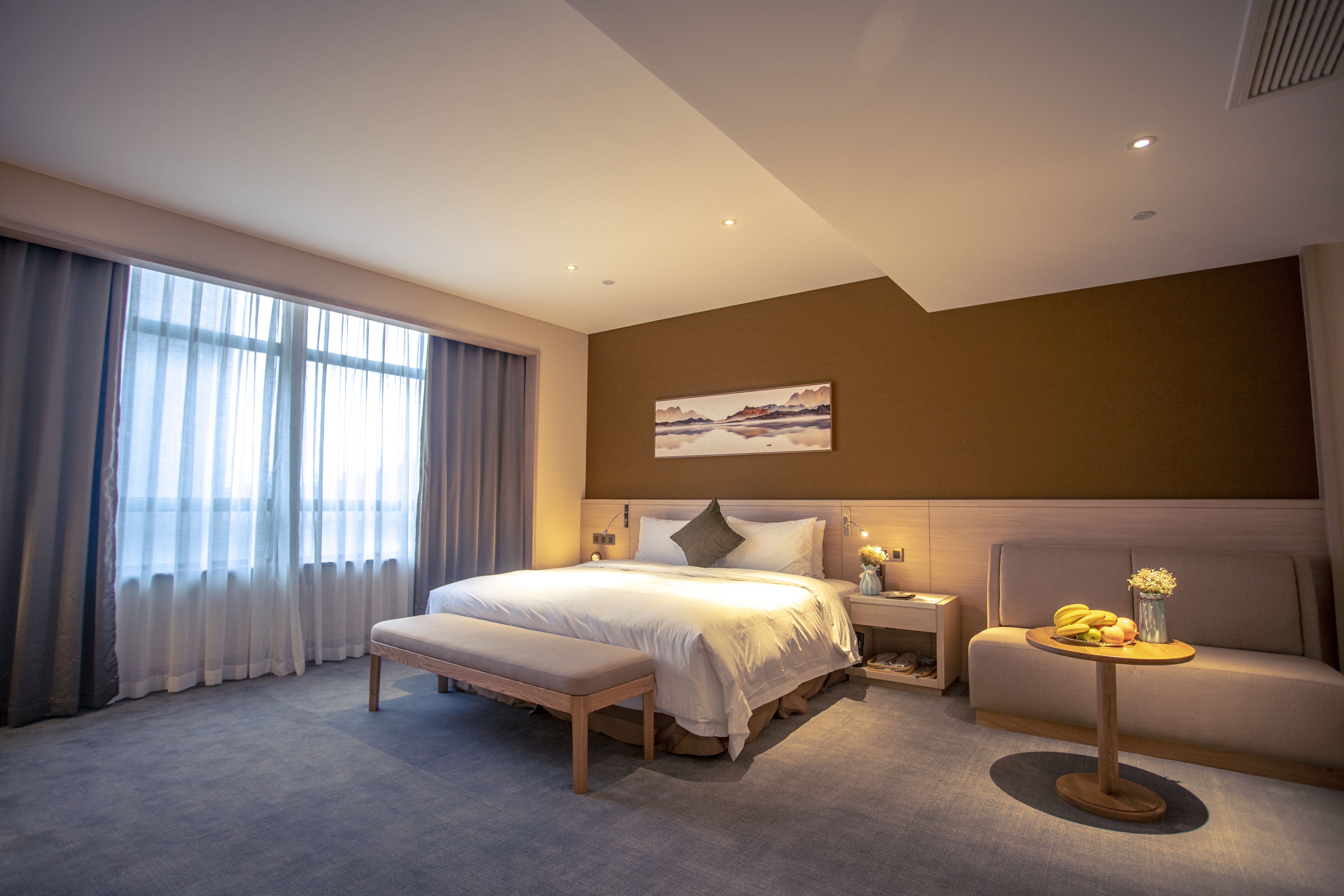 高级套房（超大空间+智能马桶）