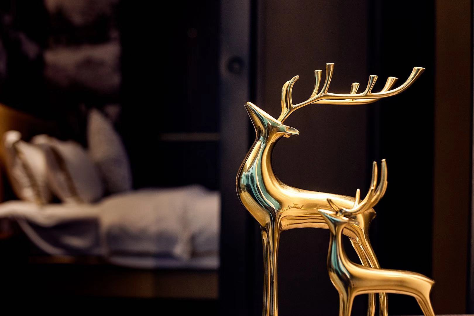 尊享双卧套房（洗衣机+熨衣设备+咖 啡机）