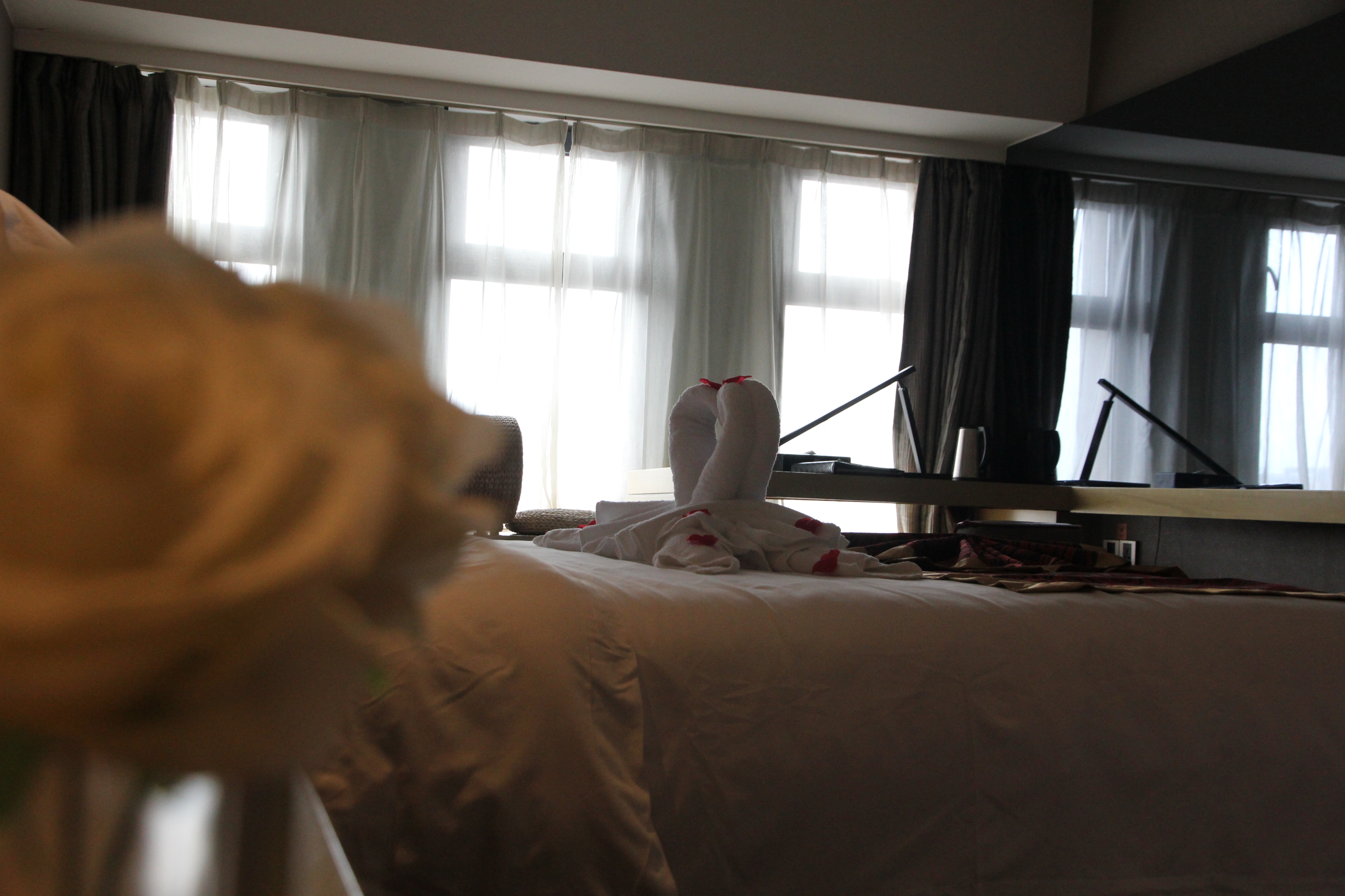 Superior Double Bed Room (Comfort Space + Peaceful Sleep)