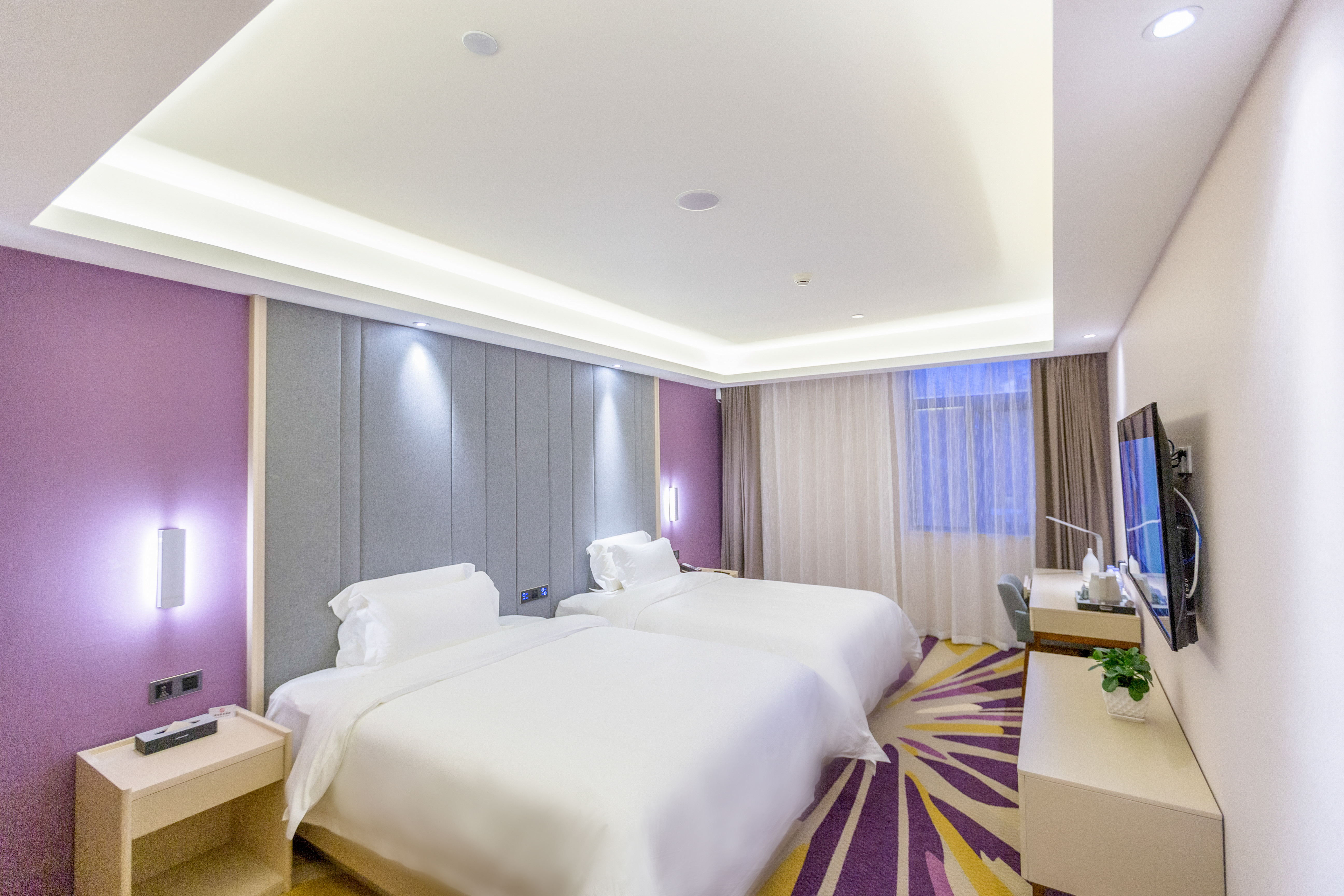 商务双床房（慕思床垫+电视投屏+智能客控+小冰箱）