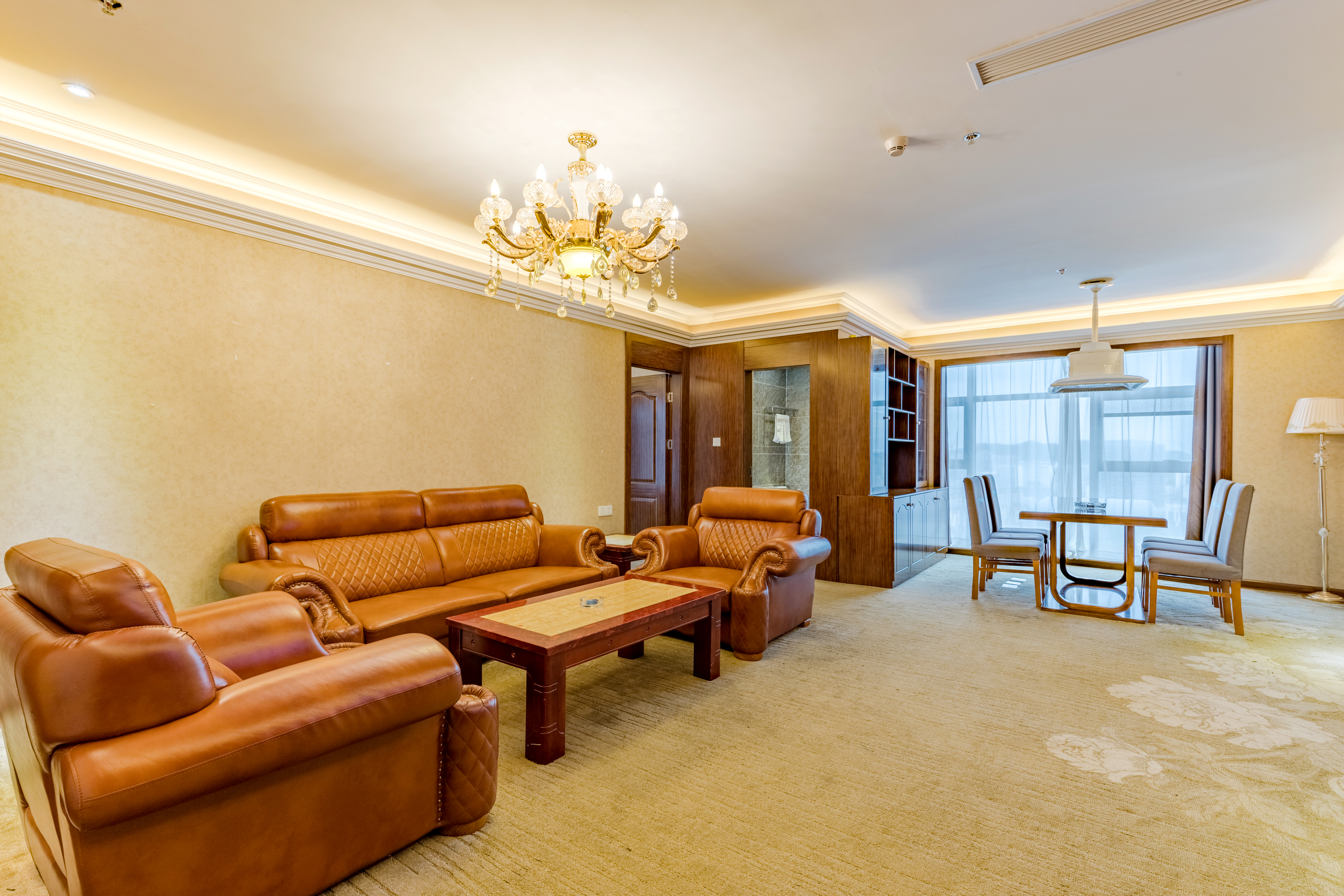 Studio Suite - with View (1 living room)