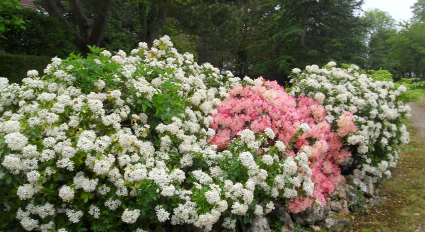 可调整的2或4人房