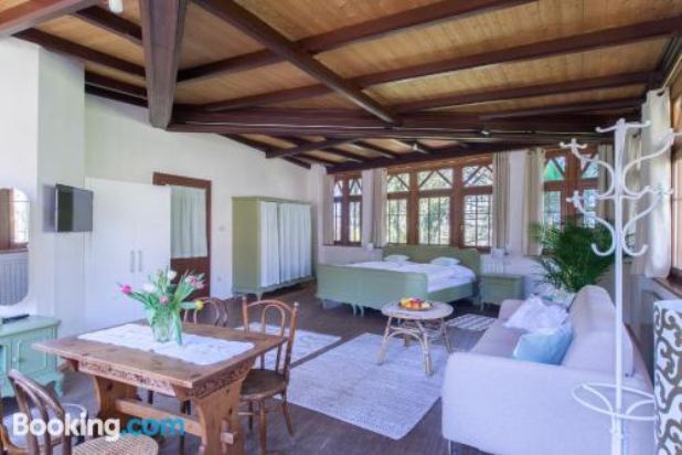 带园景一室公寓