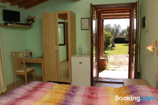 特大床房带无障碍淋浴-无障碍设施