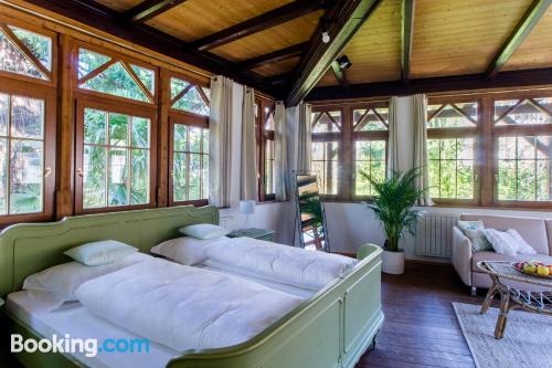 带园景一室公寓