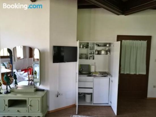 带园景一室公寓