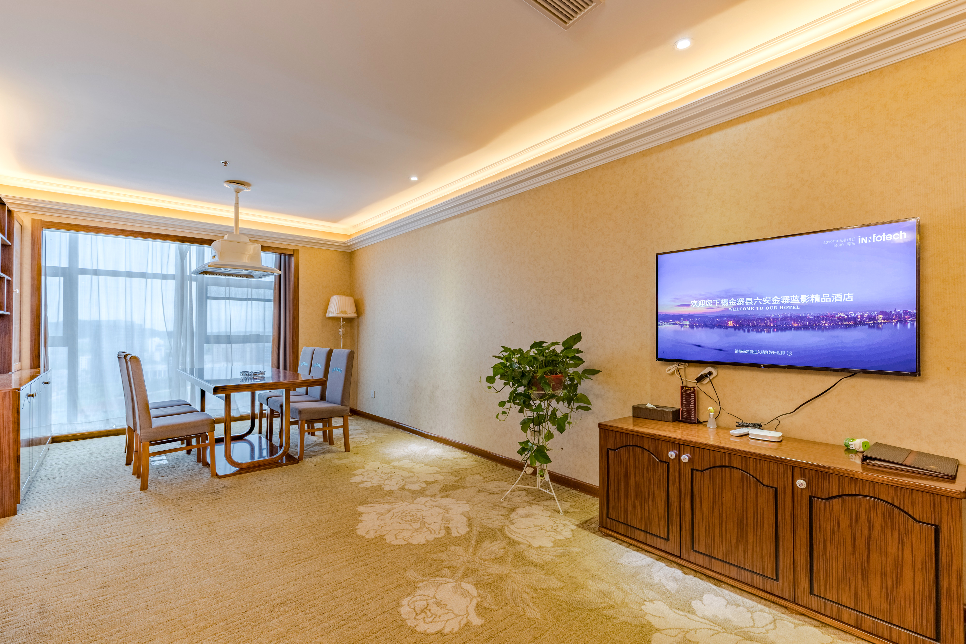 Studio Suite - with View (1 living room)