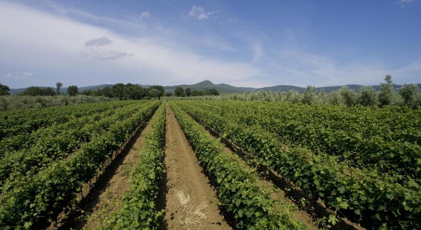 特大床房带无障碍淋浴-无障碍设施