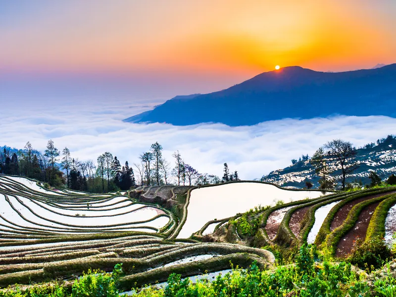 Yuanyang